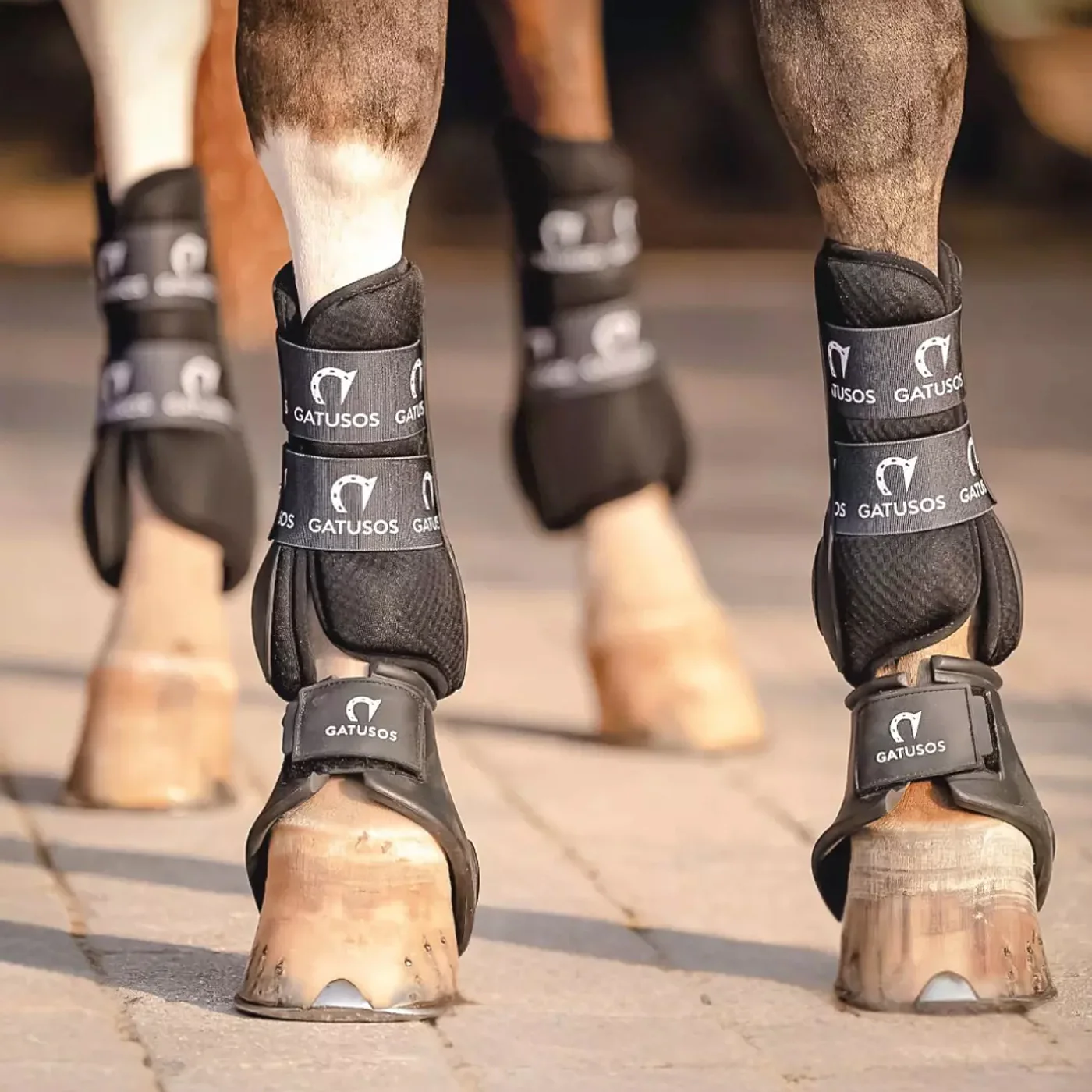 Gatusos Genuins Dressage Front Tendon Horse Boots - Image 4