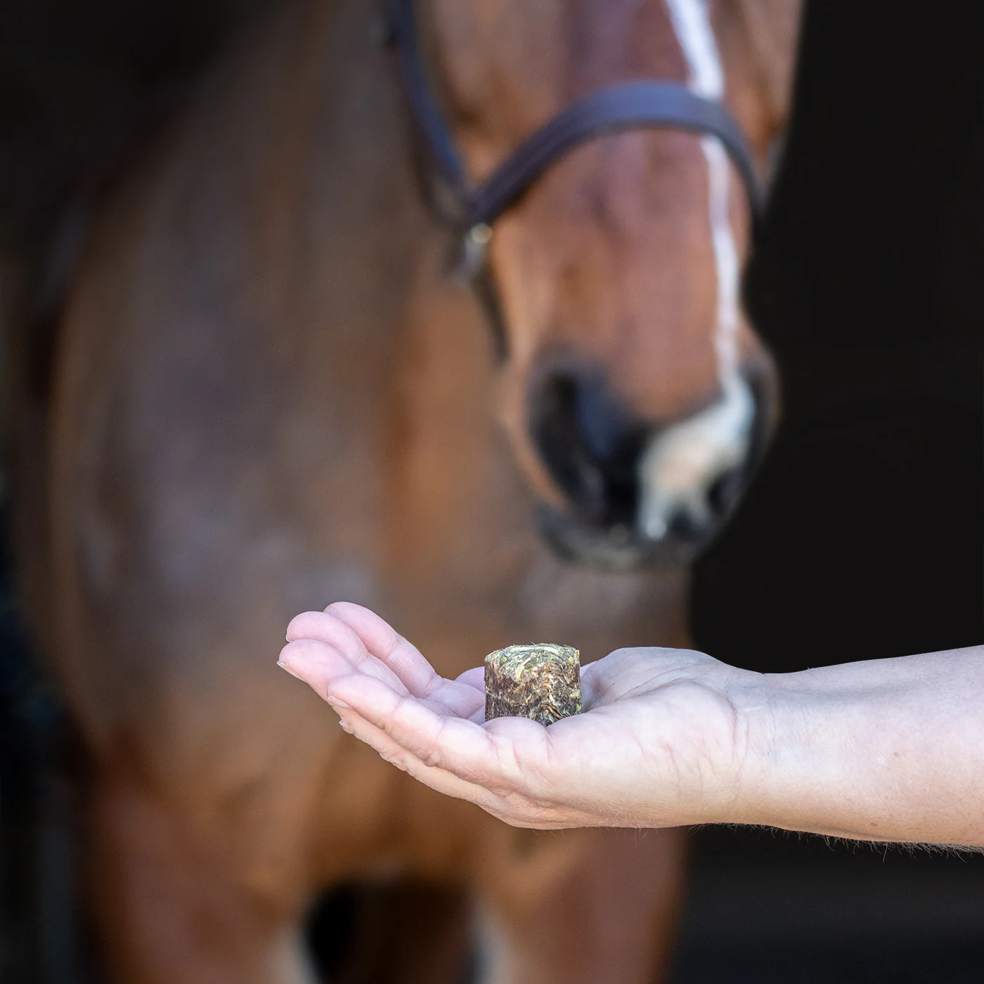 Nickers Crunchy Cubes Horse Treats - Image 7