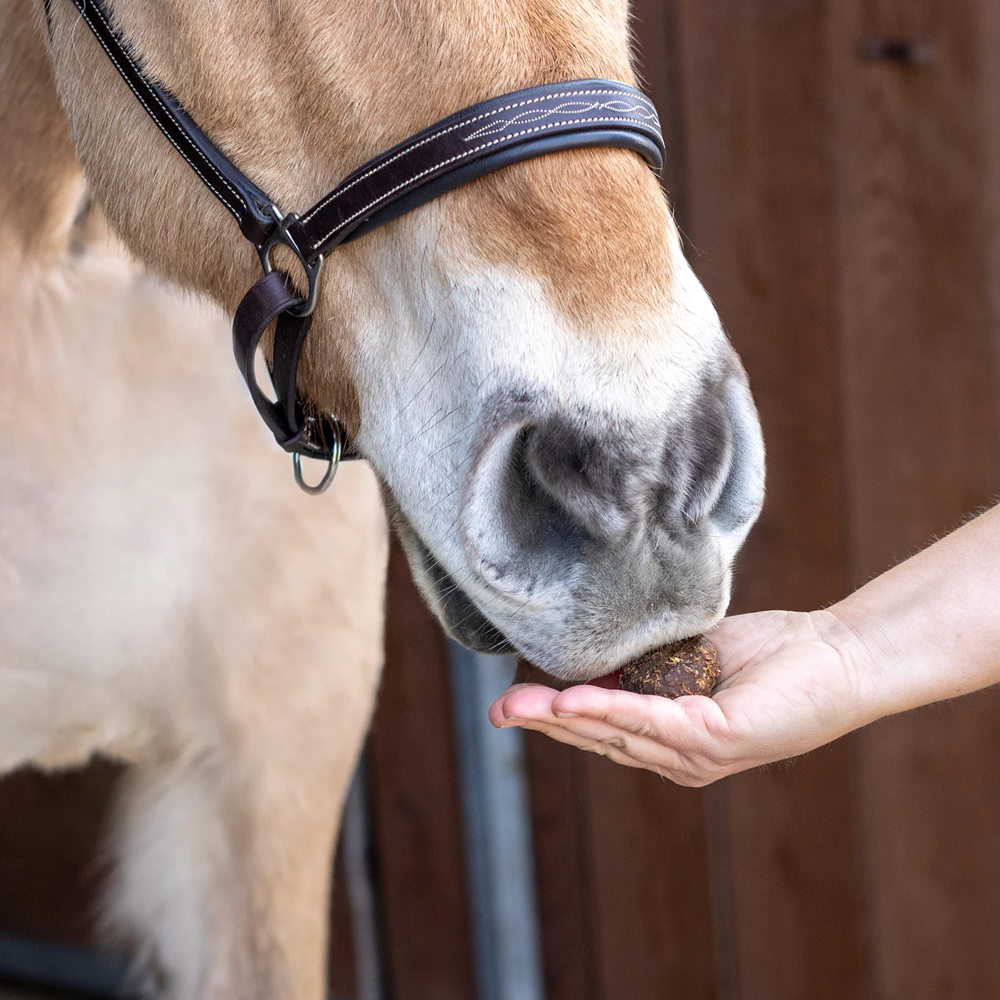Nickers Original Muffins Horse Treats - Image 13