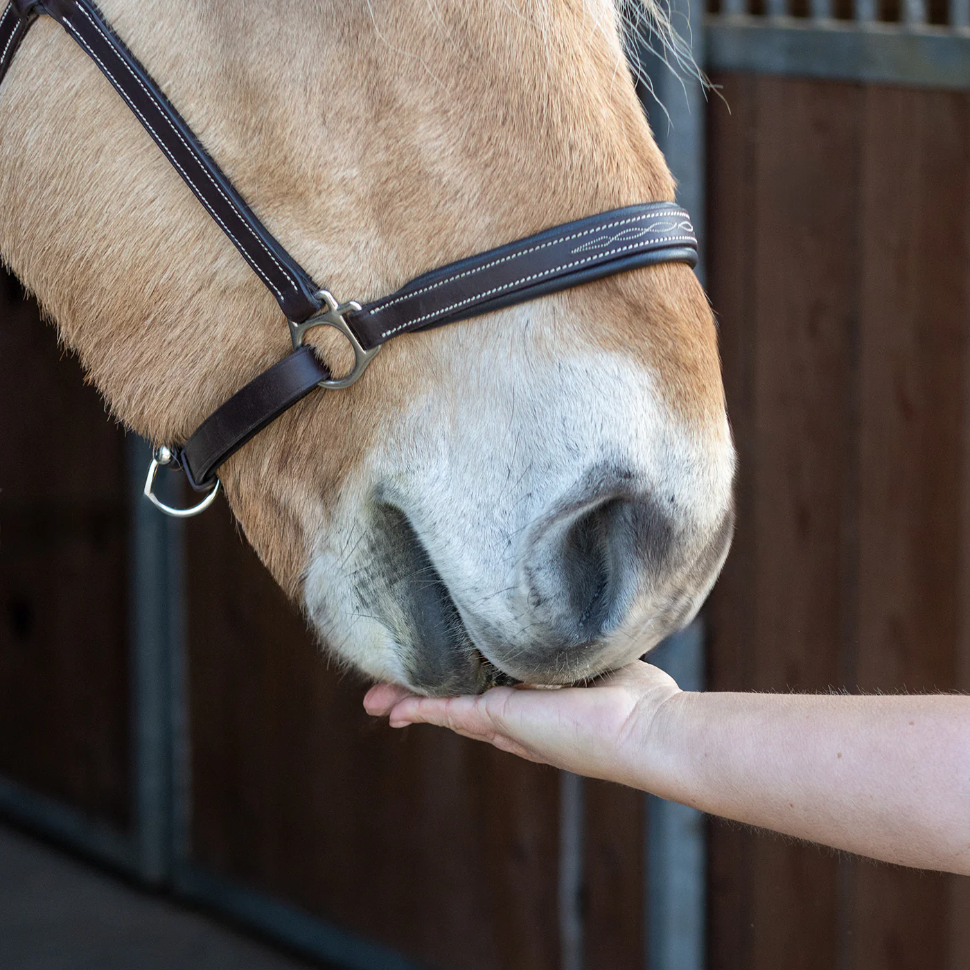 Nickers Original Muffins Horse Treats - Image 14