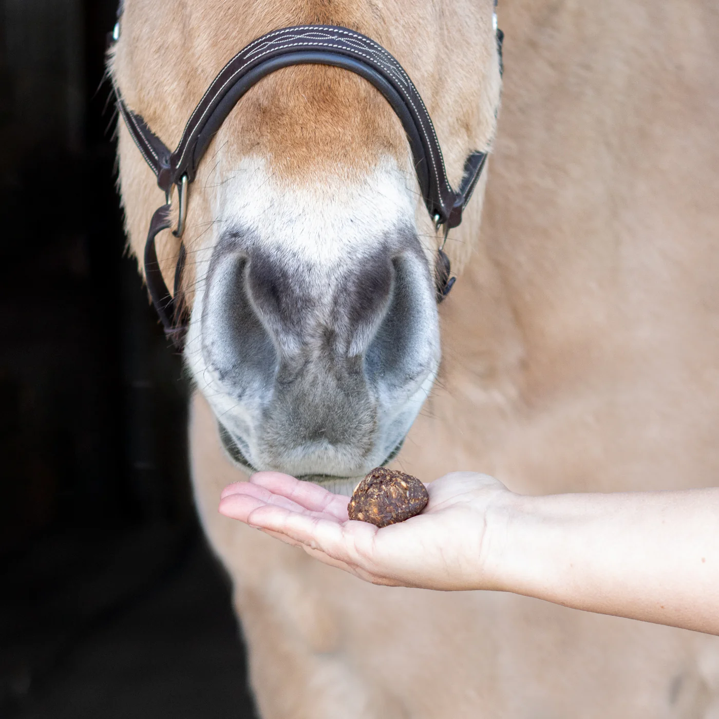 Nickers Original Muffins Horse Treats - Image 27