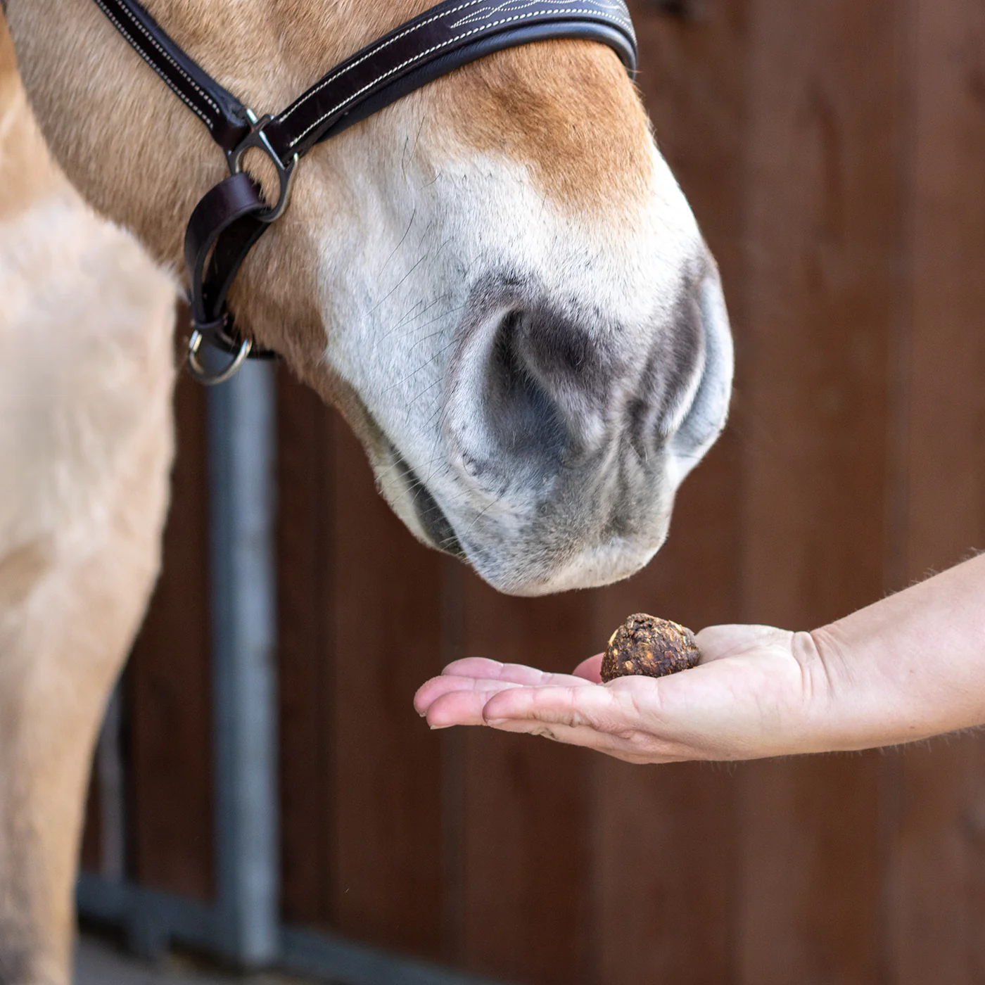 Nickers Original Muffins Horse Treats - Image 28