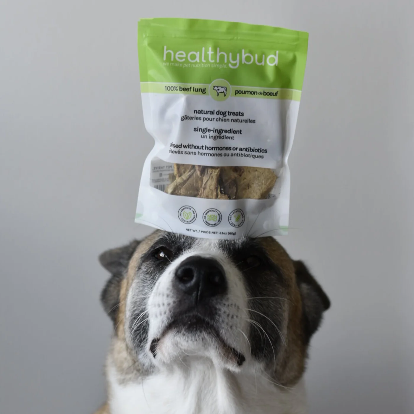 Healthybud Beef Lung Dog Treats 60 g - Image 4