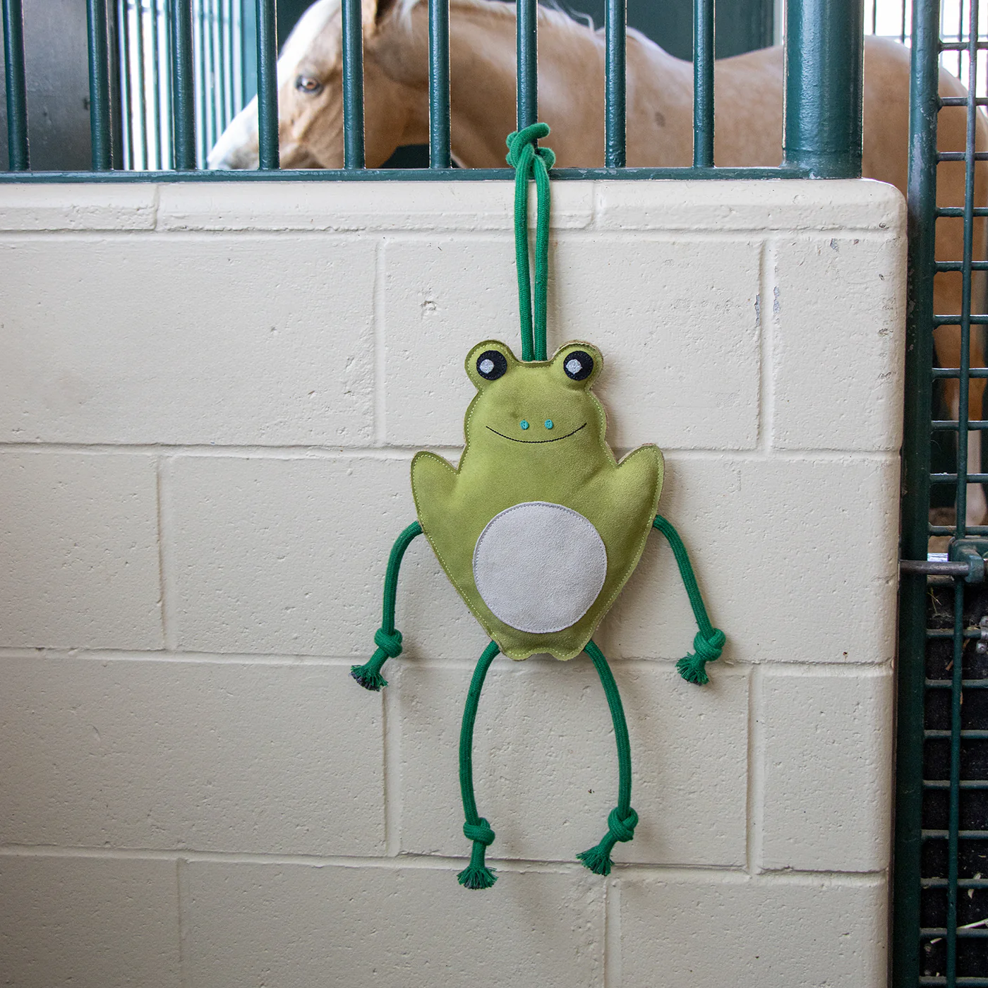 Holland James Frog Horse Toy - Image 3