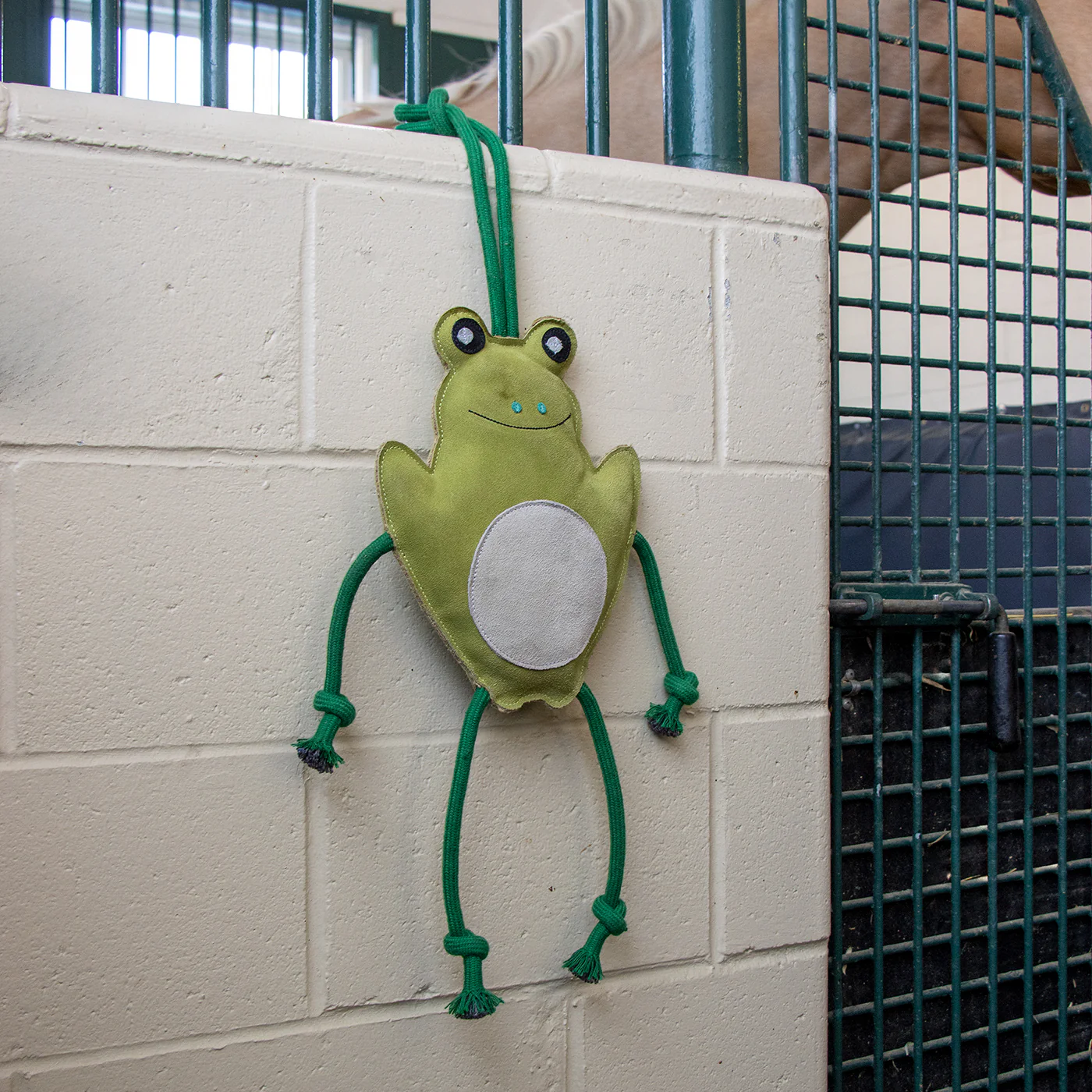 Holland James Frog Horse Toy - Image 4