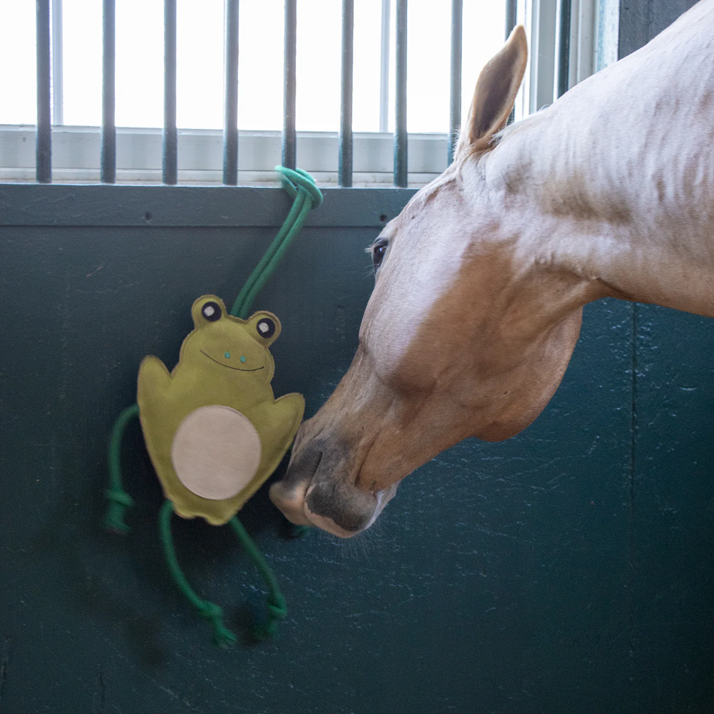 Holland James Frog Horse Toy - Image 6
