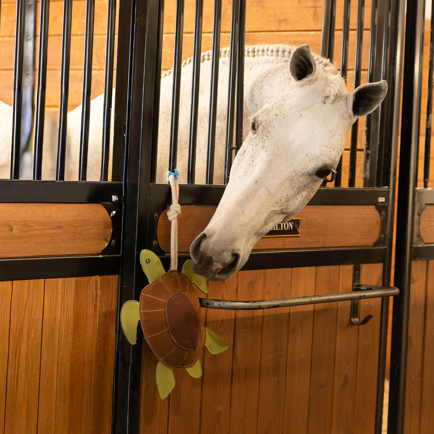 Holland James Turtle Horse Toy - Image 3