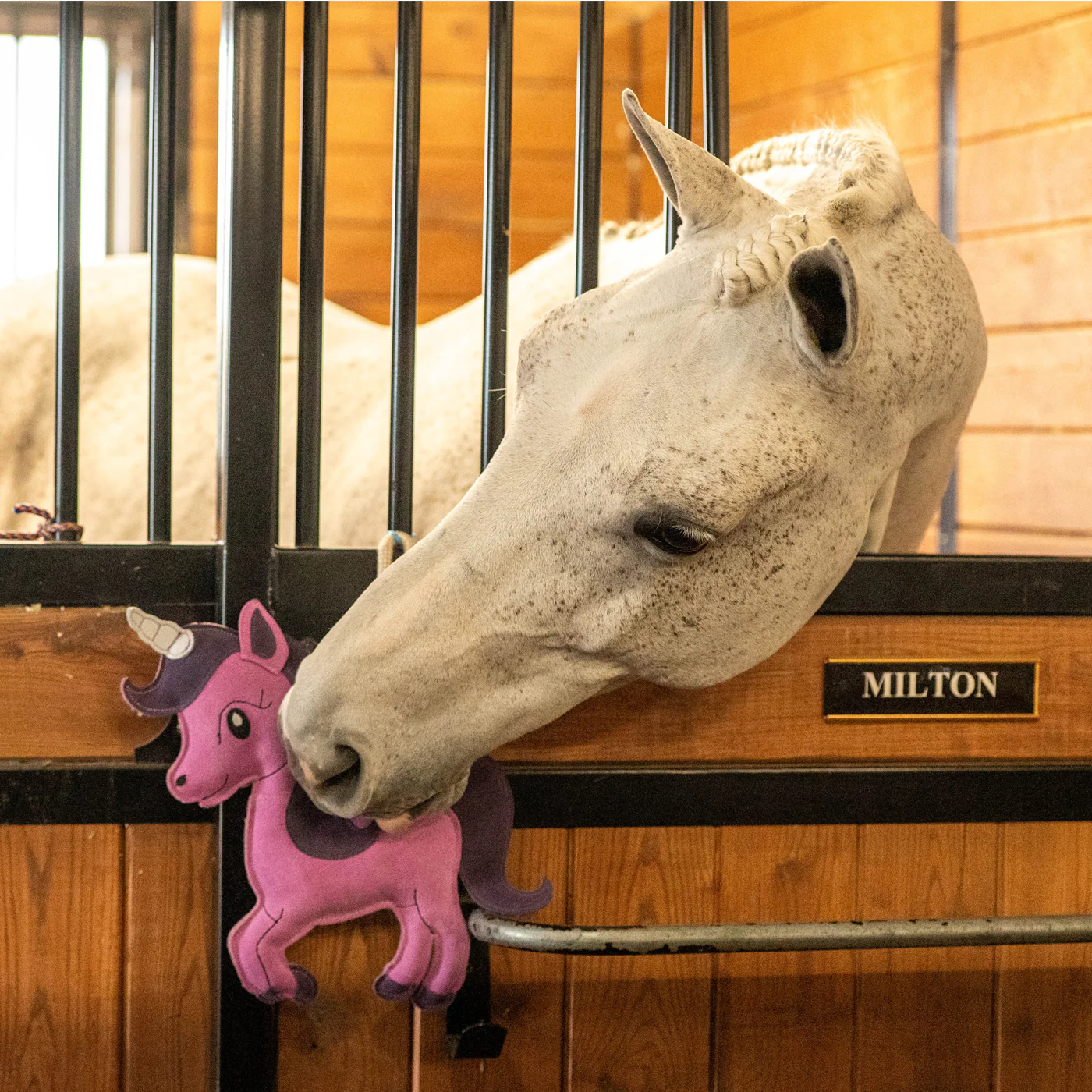 Holland James Unicorn Horse Toy - Image 3