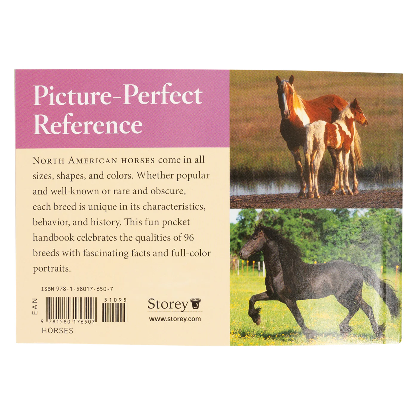Horse Breeds of North America - Image 3