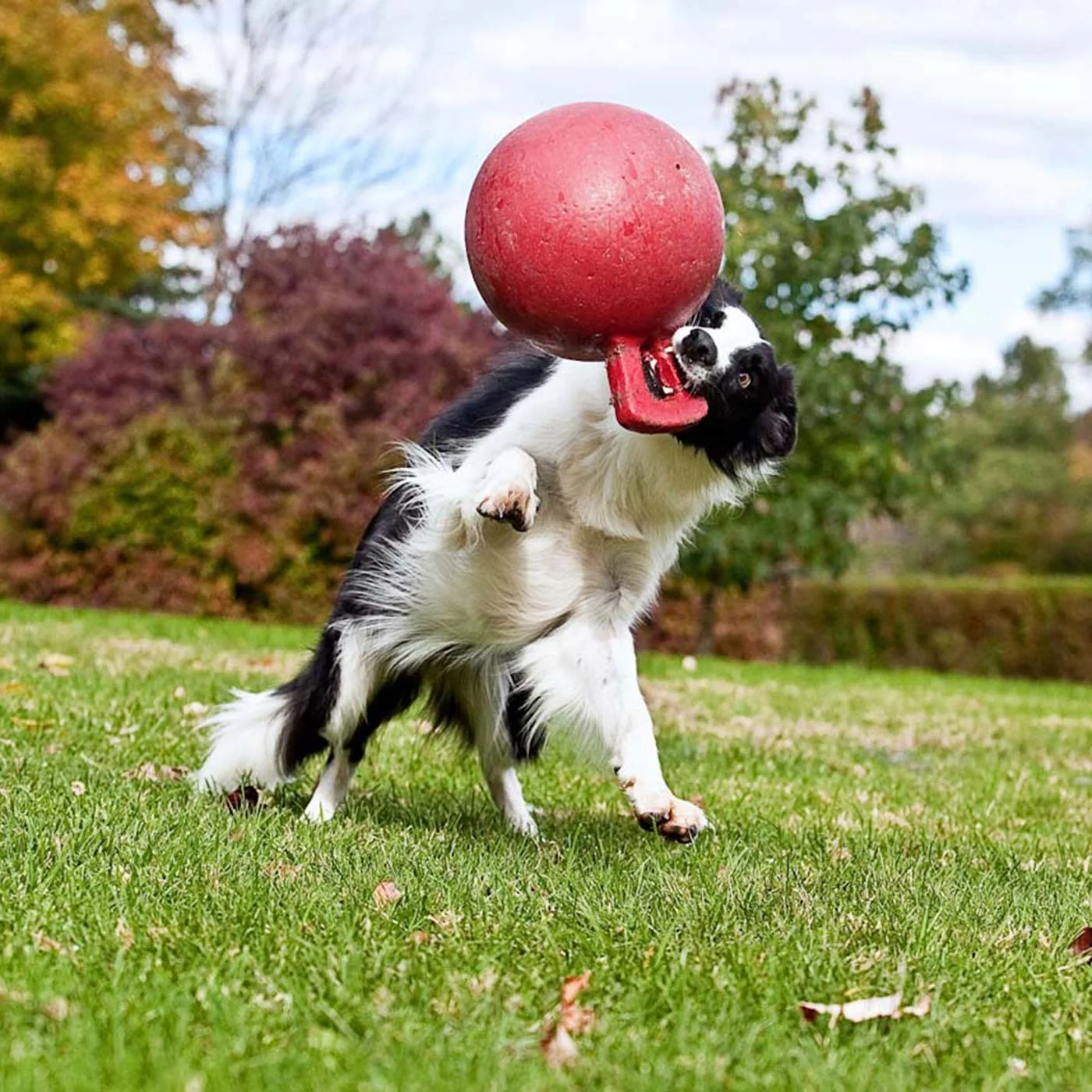 Horsemen's Pride Tug-n-Toss Jolly Ball 25 cm - Image 4