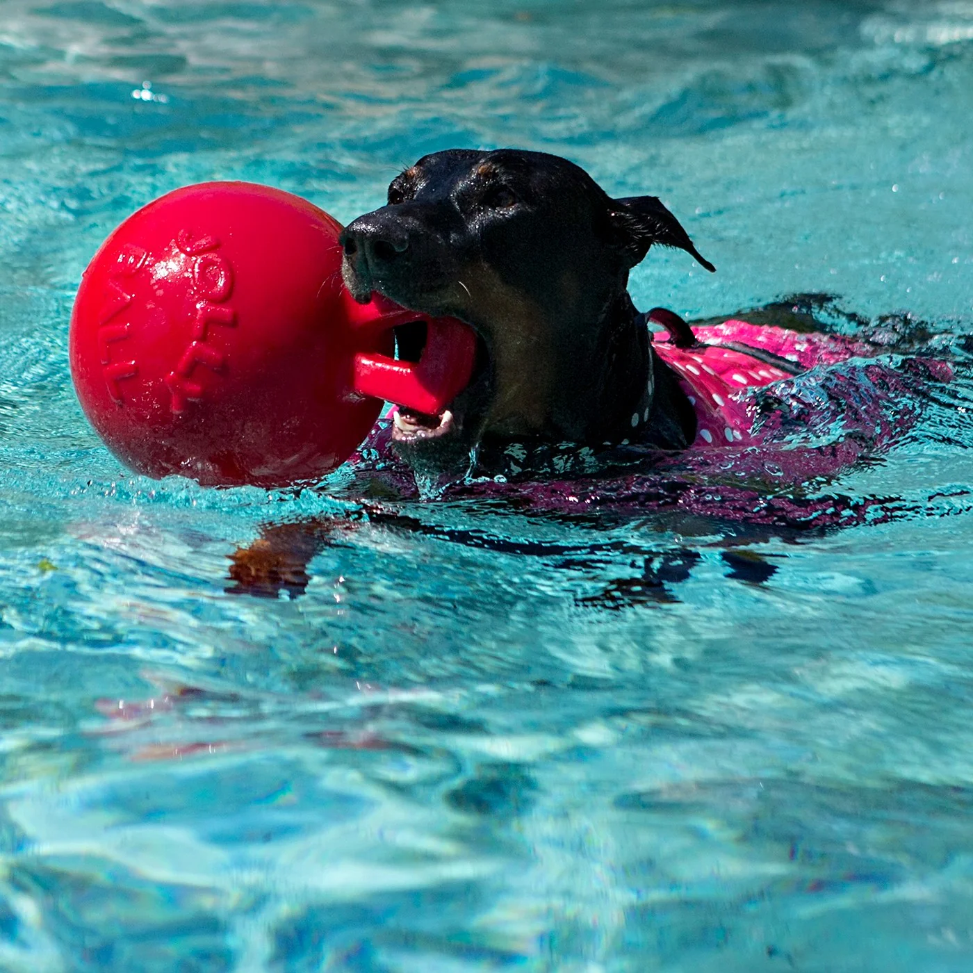 Horsemen's Pride Tug-n-Toss Jolly Ball 25 cm - Image 5