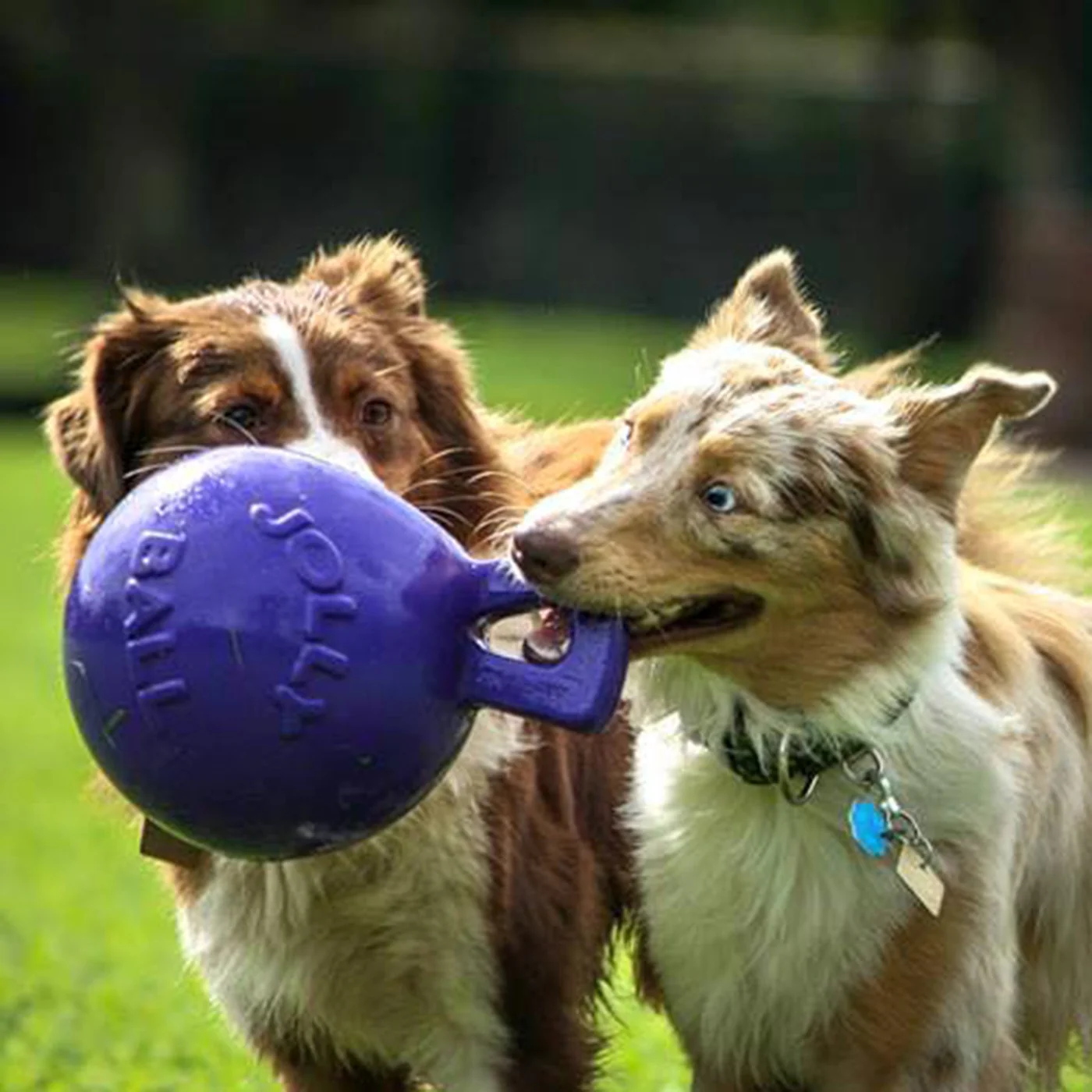 Horsemen's Pride Tug-n-Toss Jolly Ball 15 cm - Image 4
