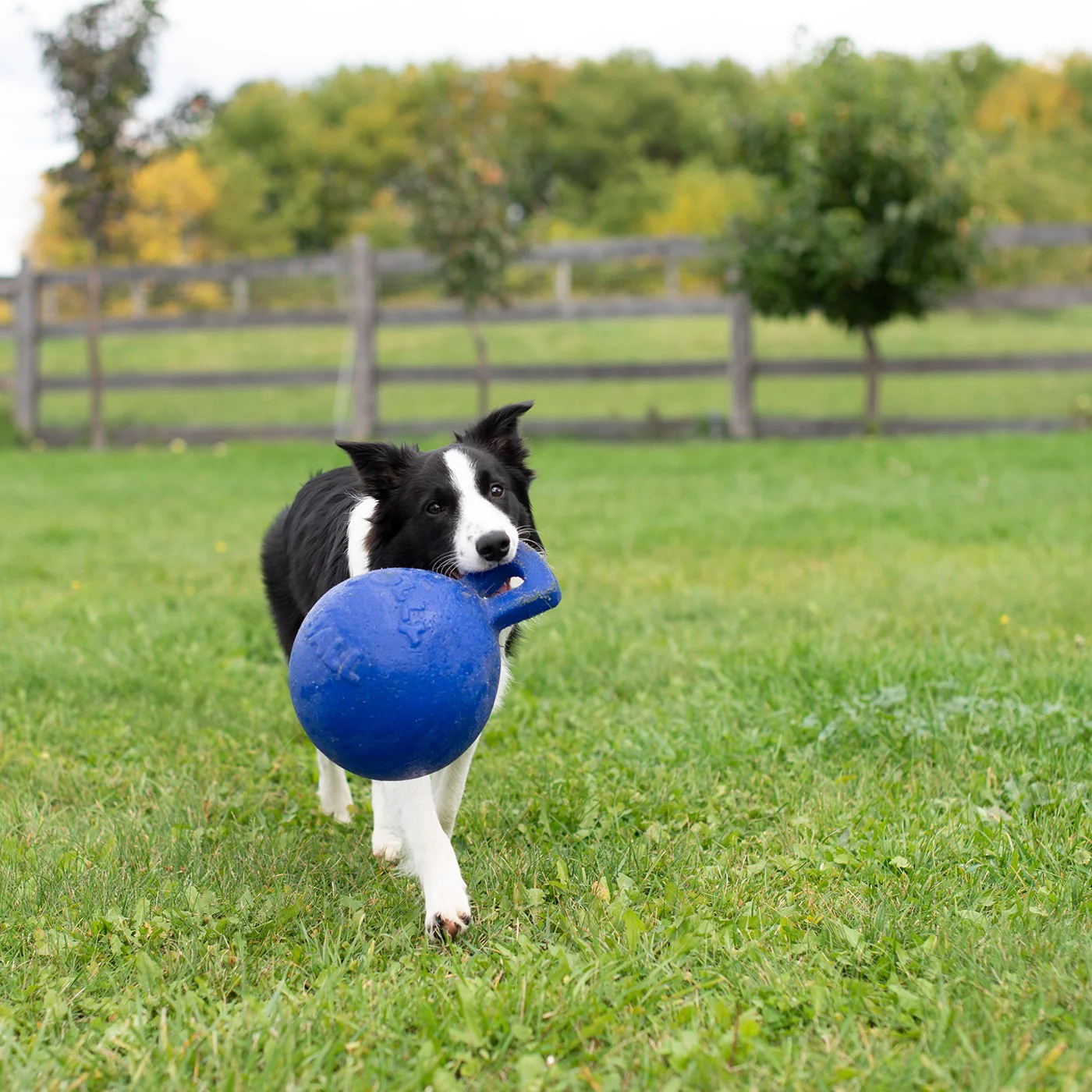 Horsemen's Pride Tug-n-Toss Jolly Ball 20 cm - Image 4
