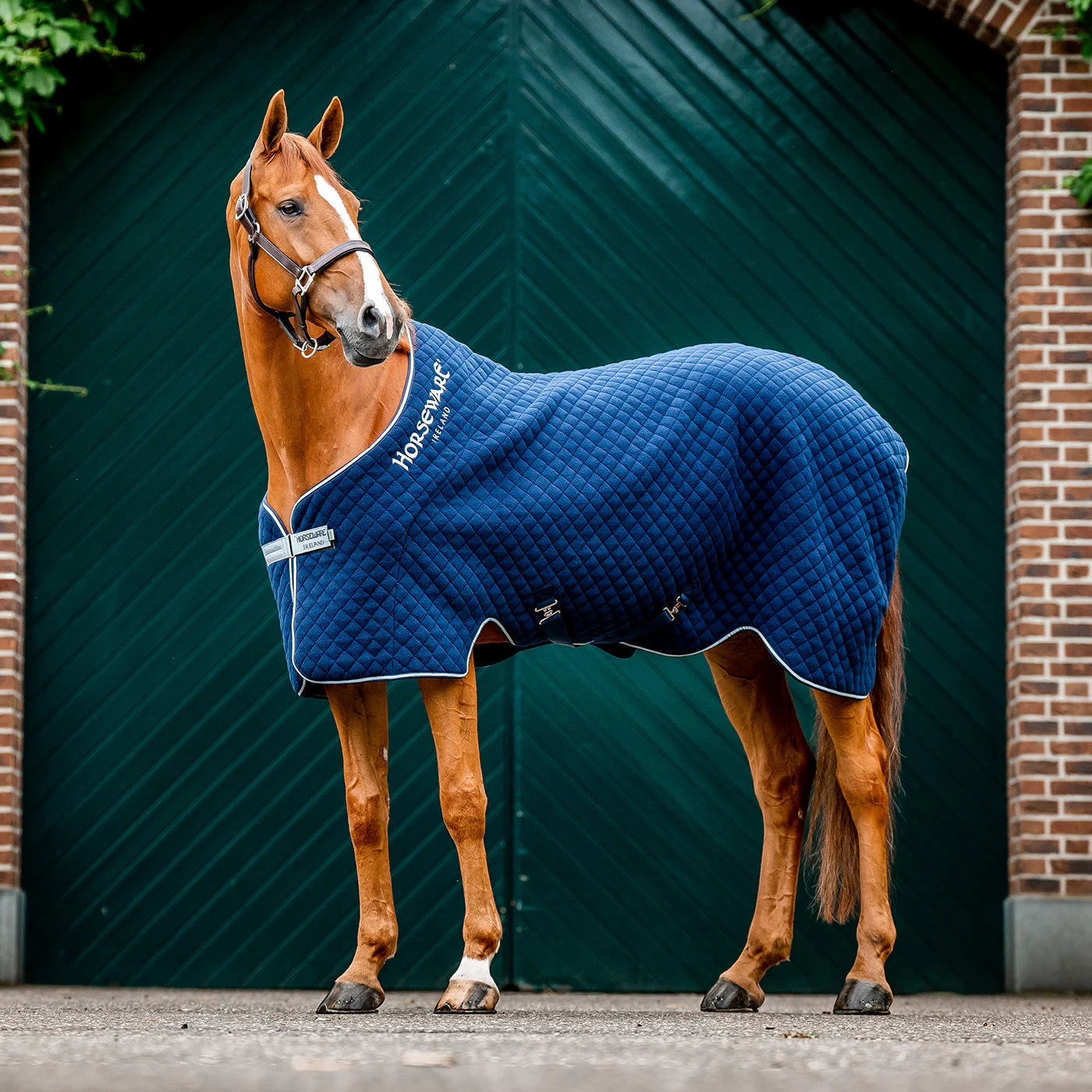 Horseware Autumn Cooler - Image 2