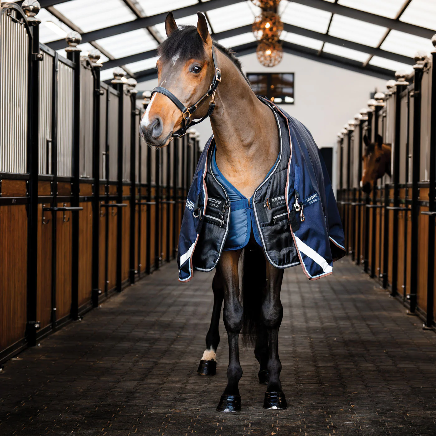 Horseware Easy-Layer Stable Blanket 100 g - Image 3