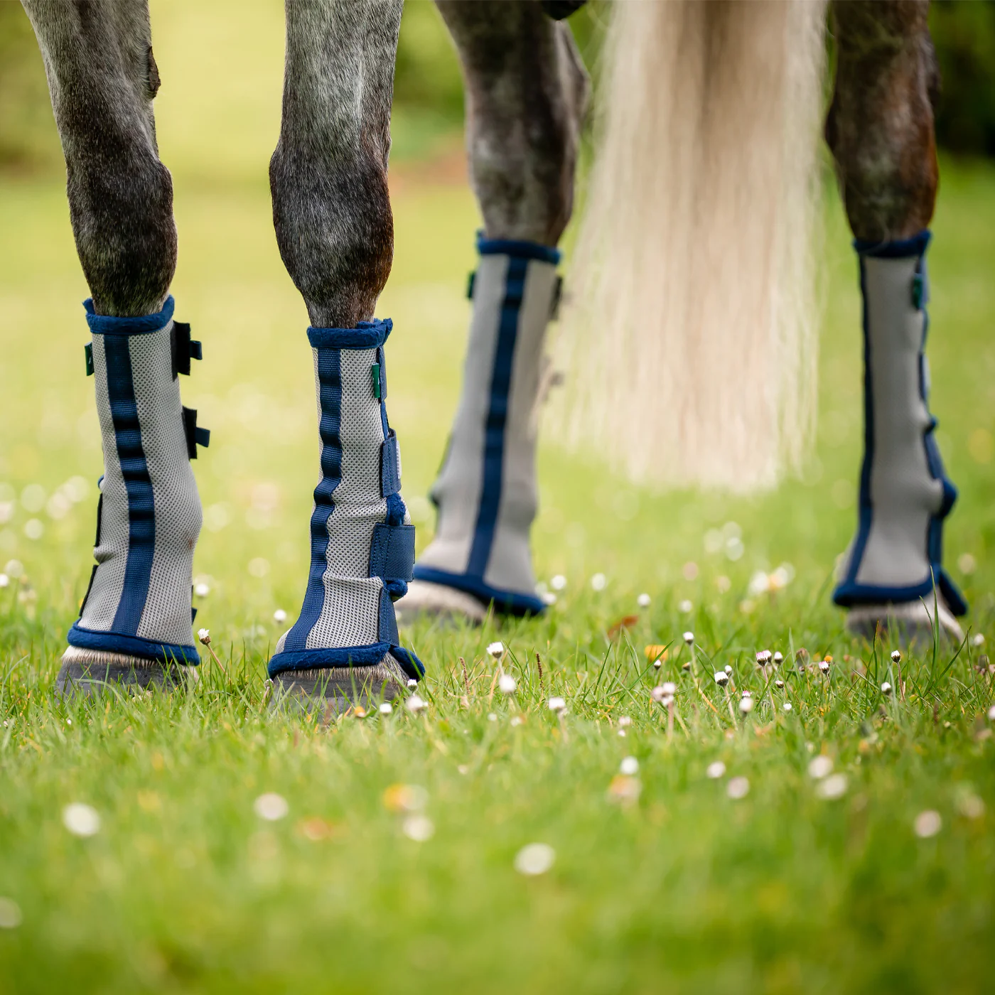 Horseware Fly Boots - Image 3