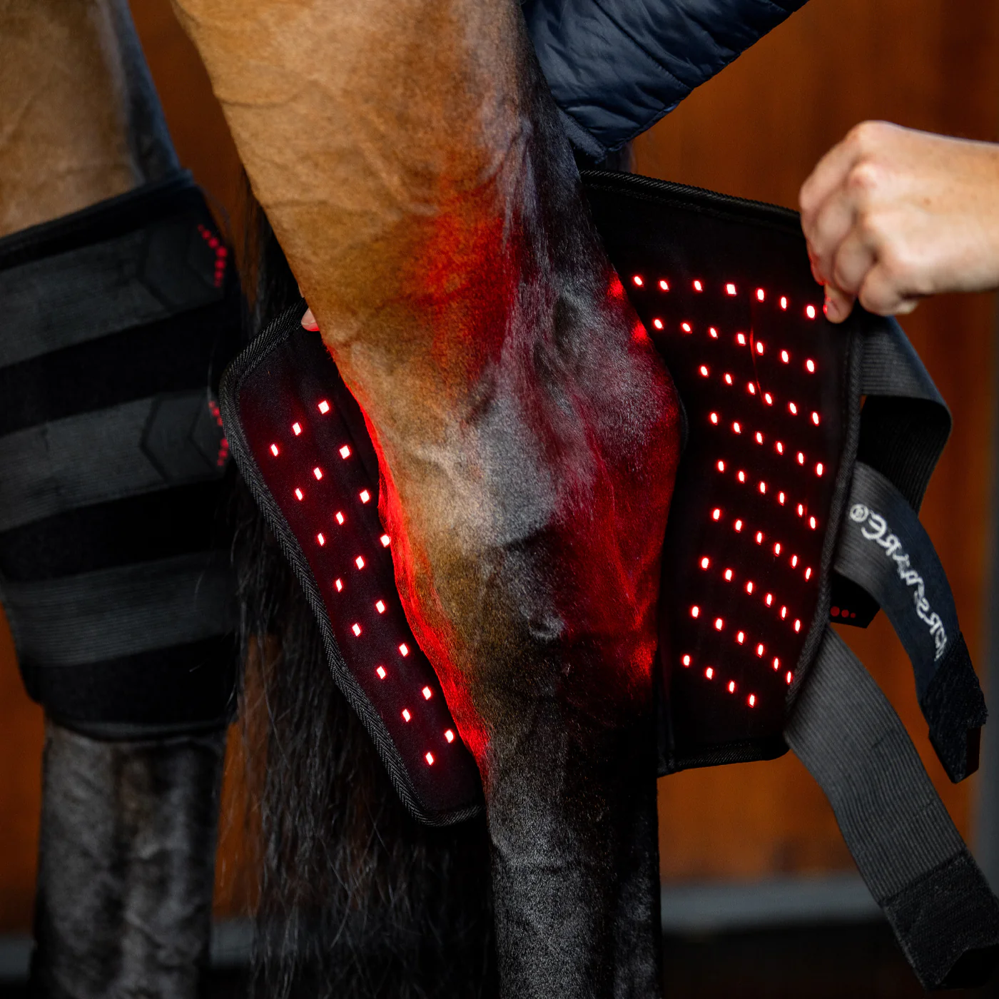 Horseware LED Red Light Therapy Left Hock Boot - Image 2