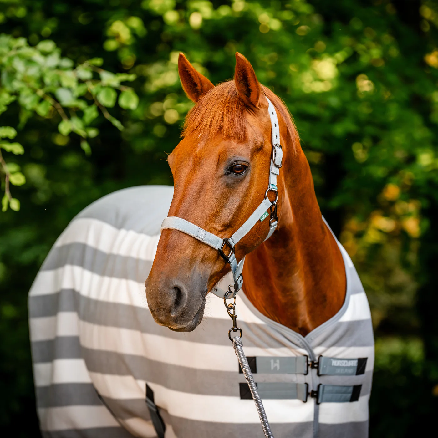 Horseware Newmarket Fleece Cooler - Image 9