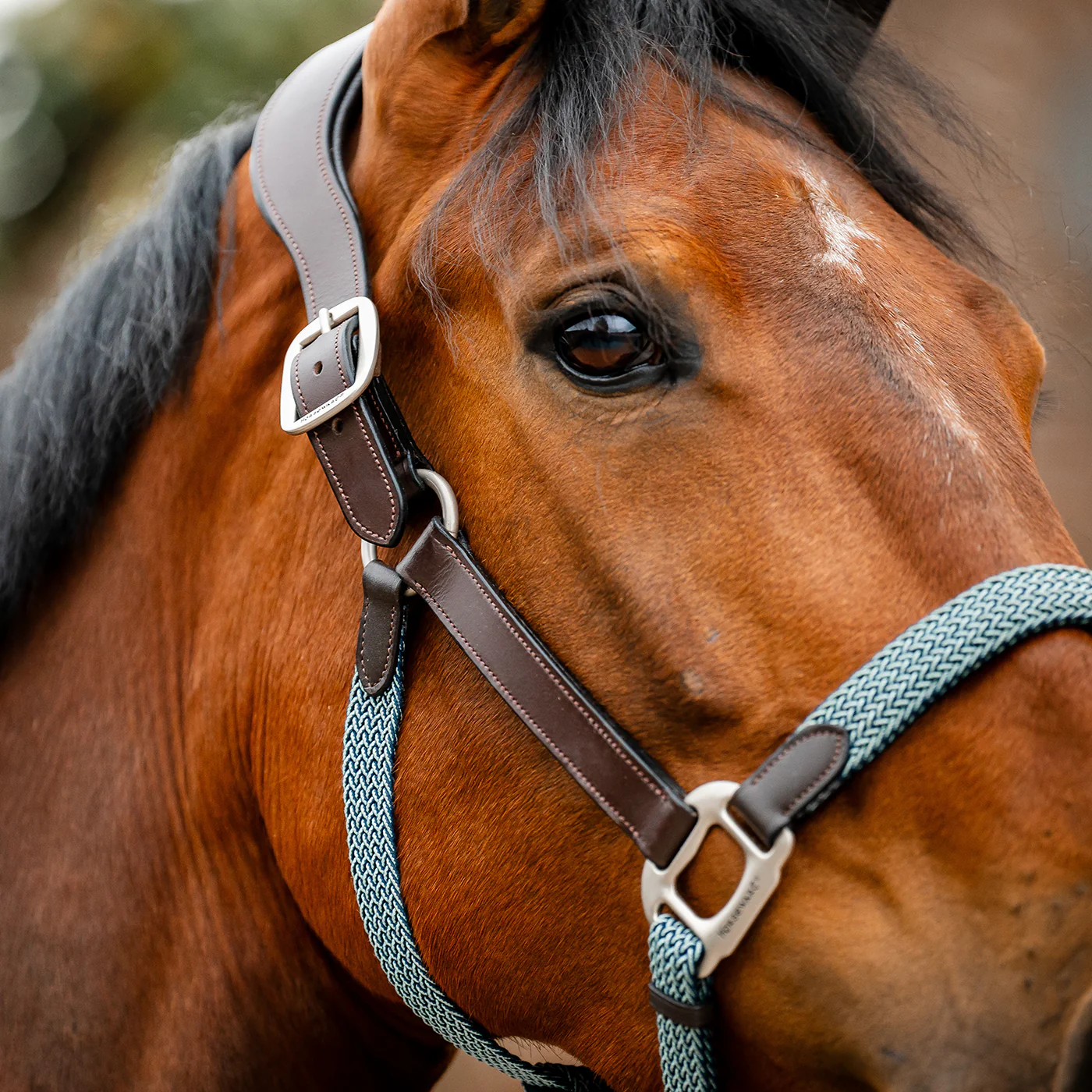Horseware Signature Braided Breakaway Halter - Image 3