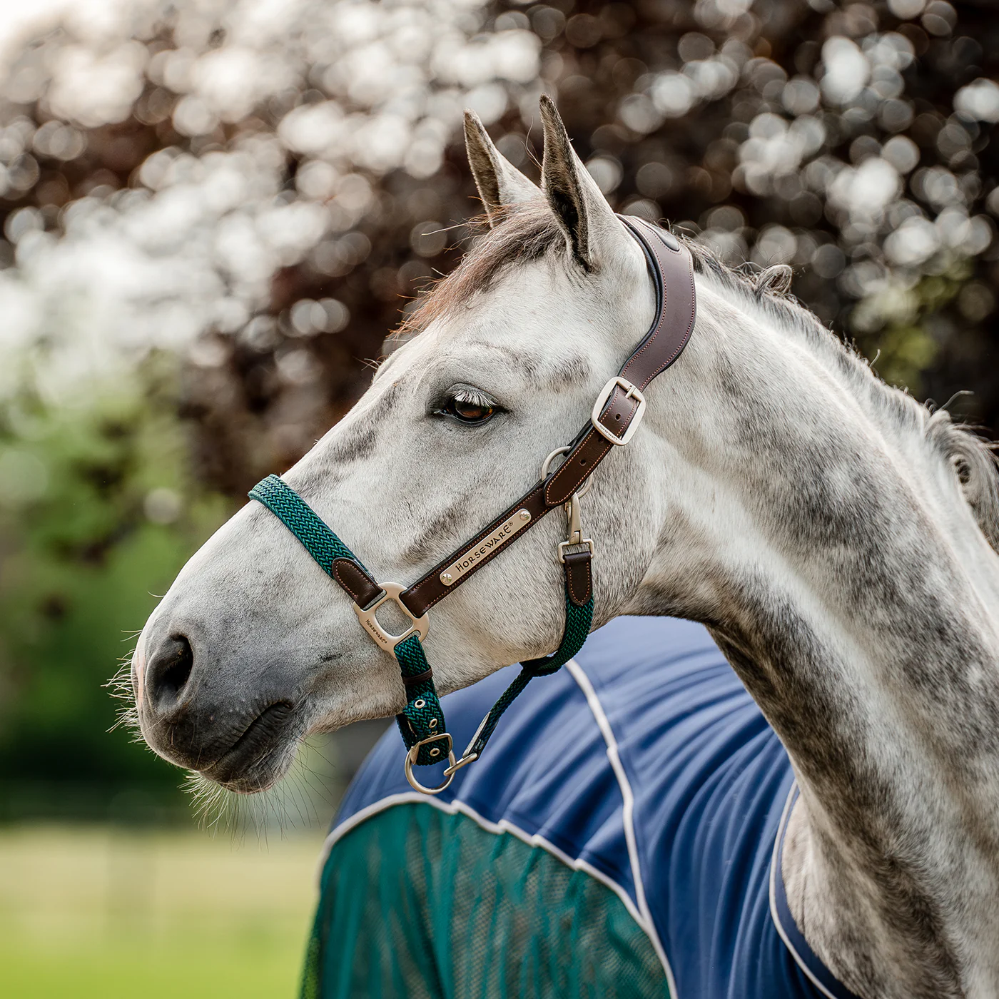Horseware Signature Braided Breakaway Halter - Image 8