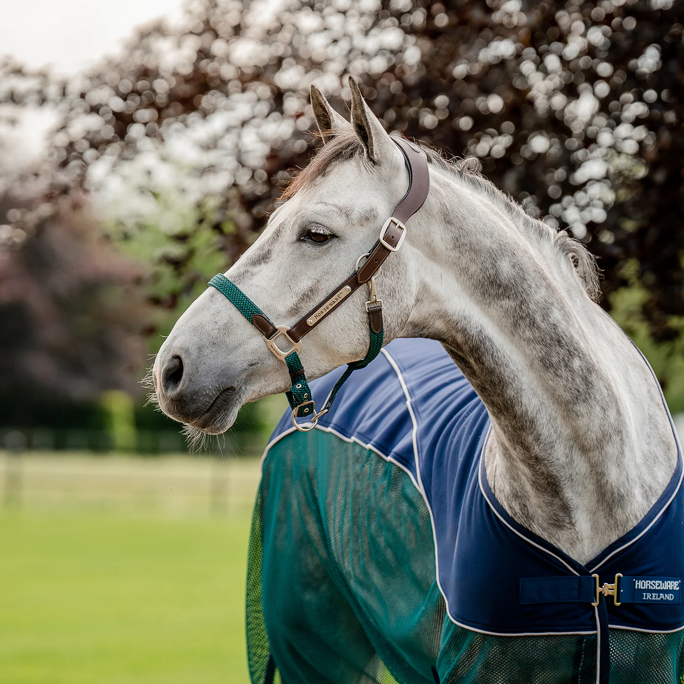 Horseware Signature Braided Breakaway Halter - Image 9