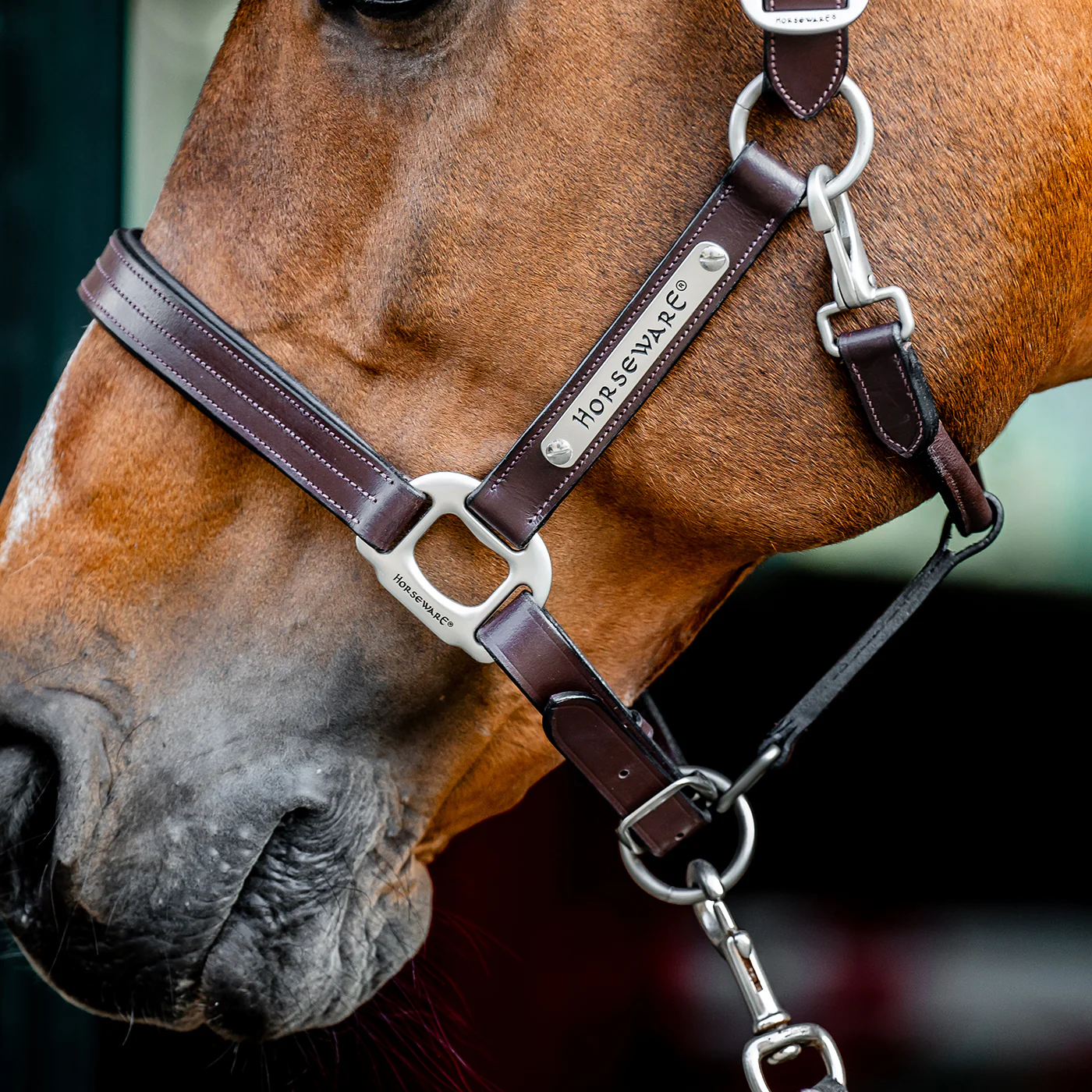 Horseware Signature Leather Halter - Image 11