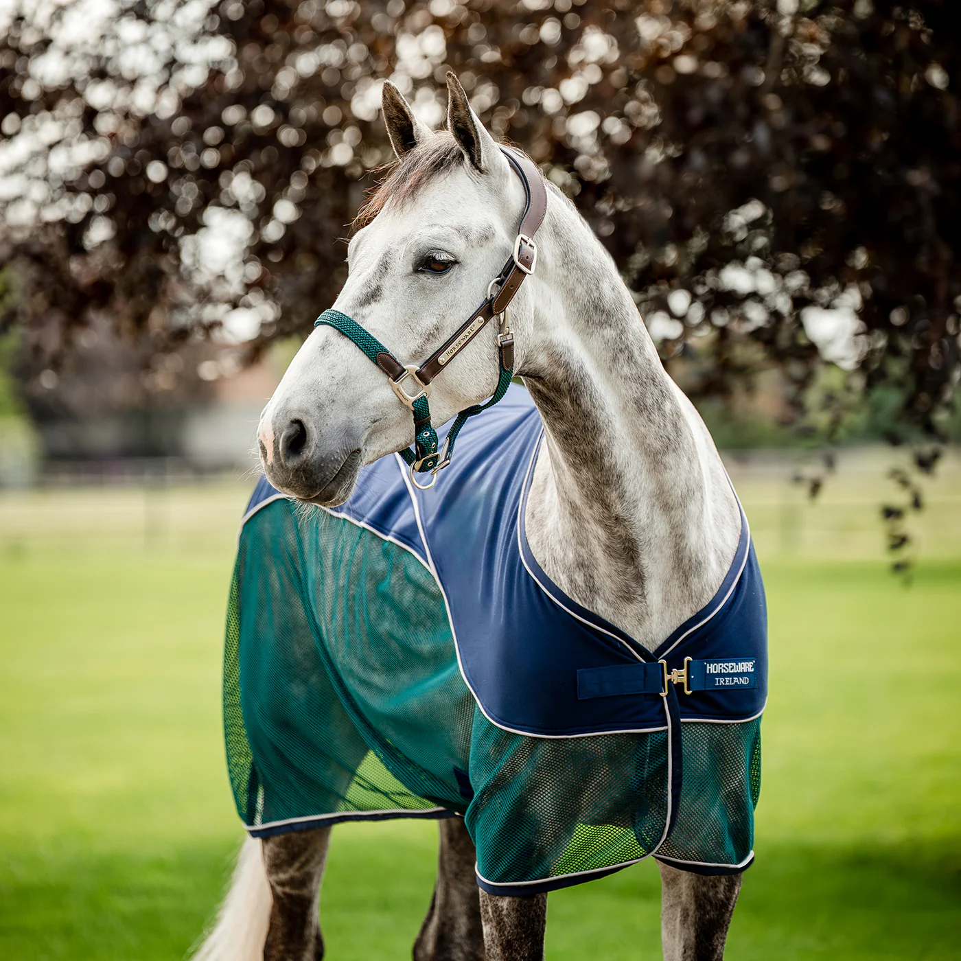 Horseware Signature Sport Cooler - Image 3