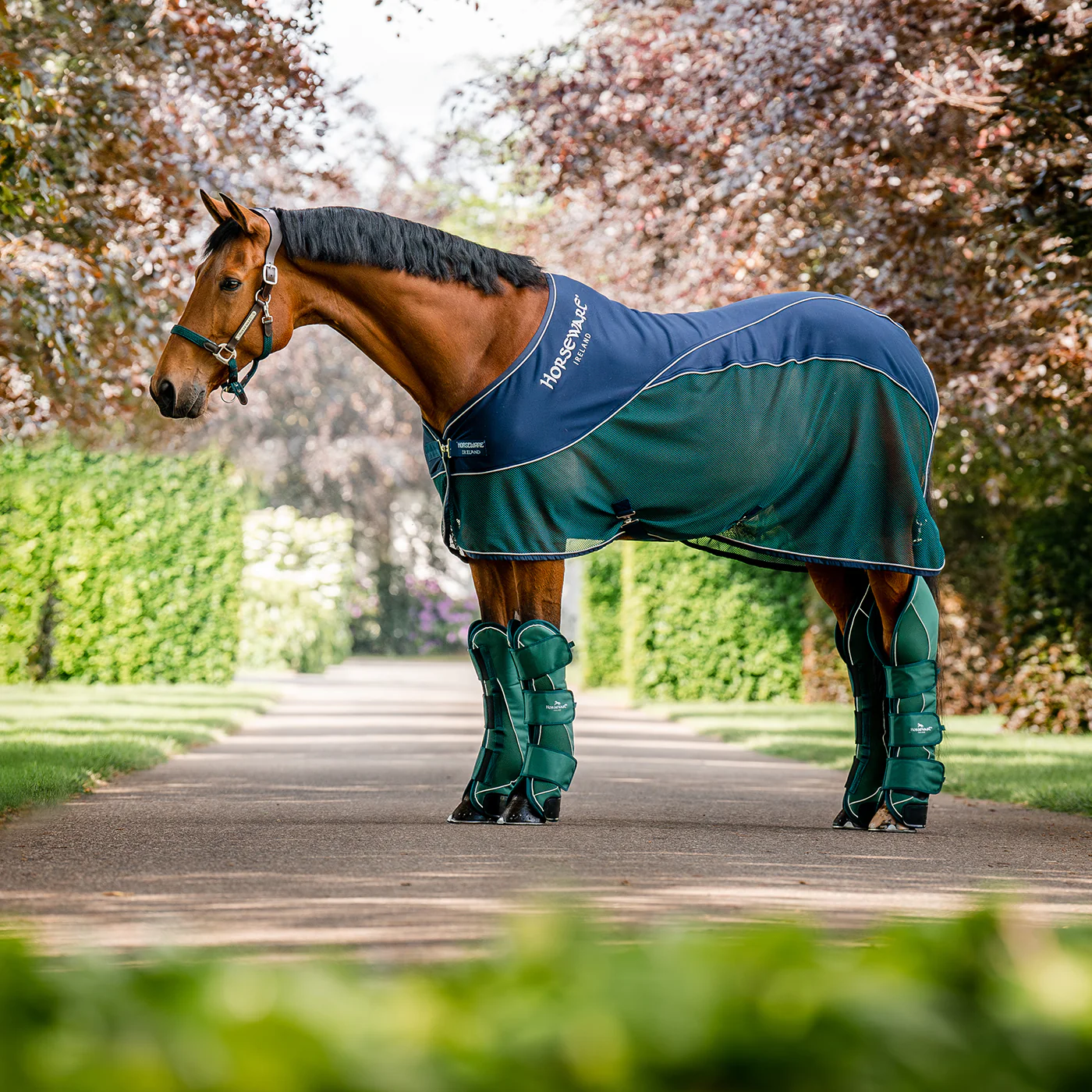Horseware Signature Sport Cooler - Image 7
