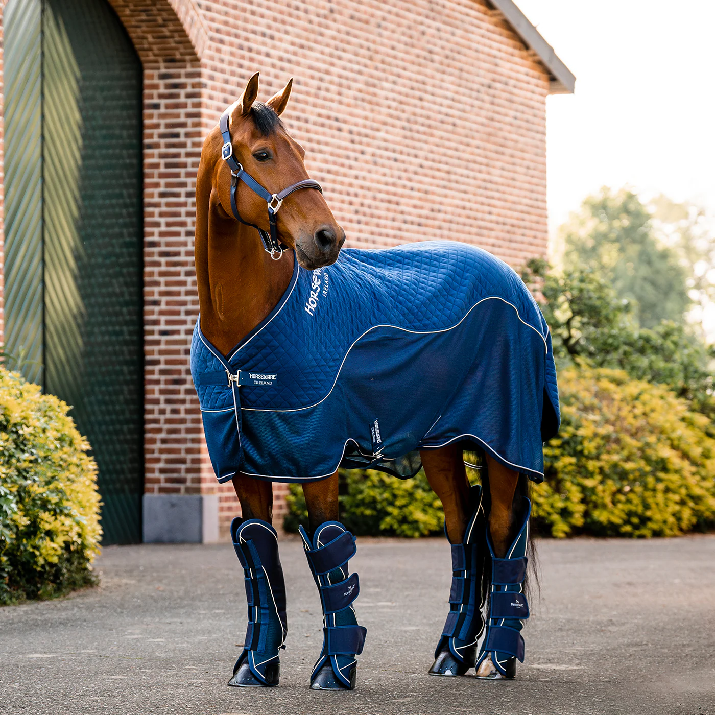 Horseware Signature Travel Boots - Image 4