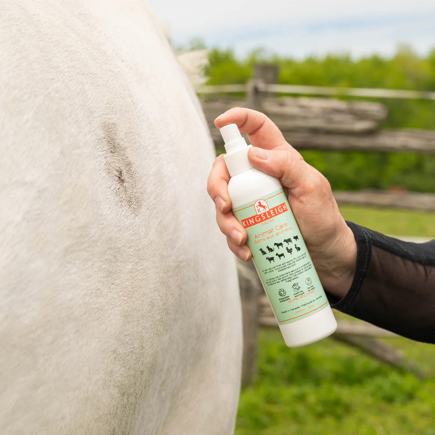 Kingsleigh Equine Animal Care 250 mL - Image 3