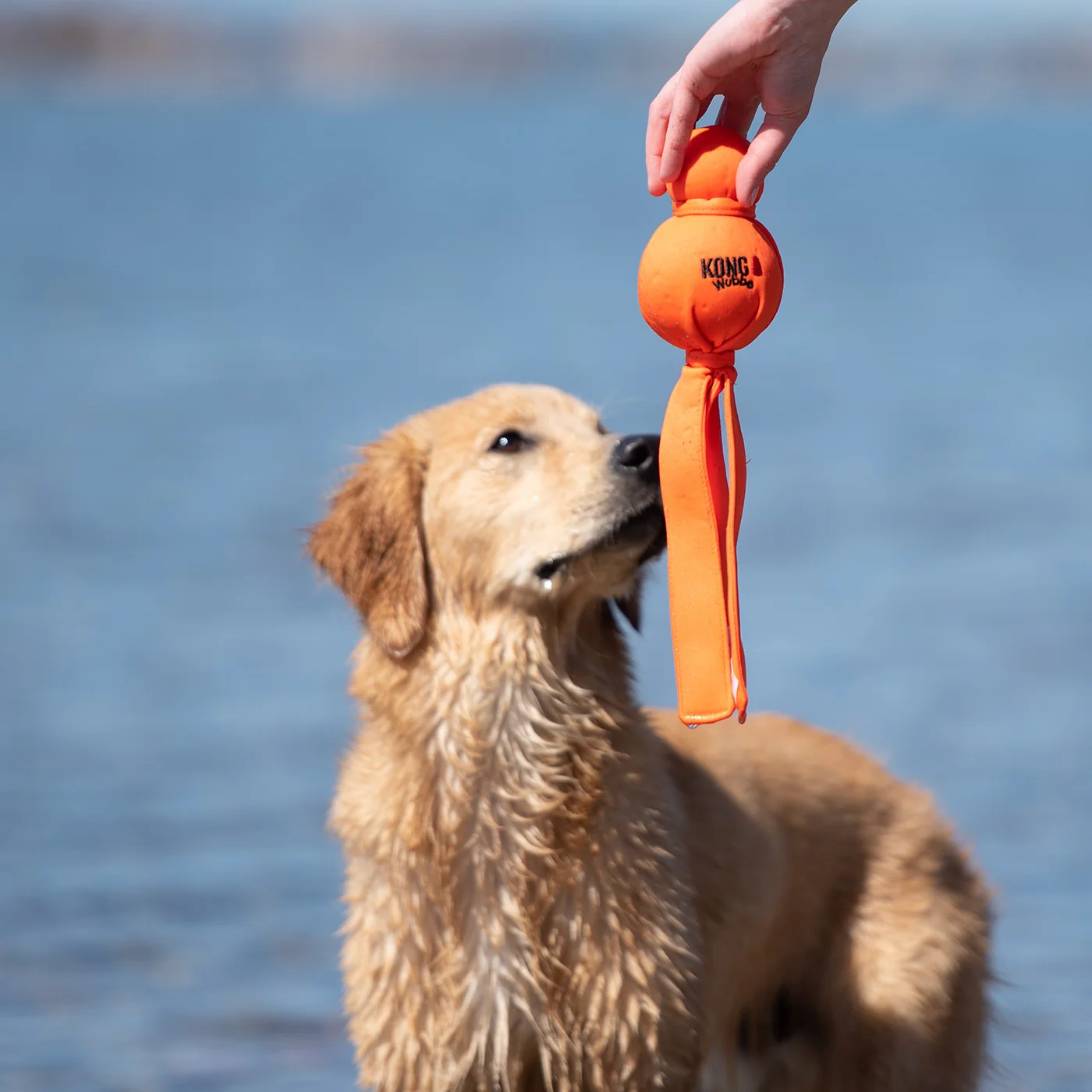 Kong Water Wubba - Large - Image 3