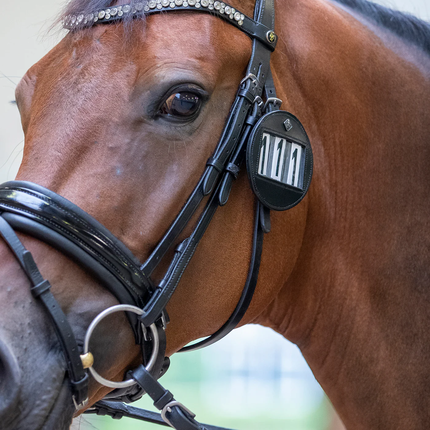 LeMieux Bridle Number Holder - Image 2