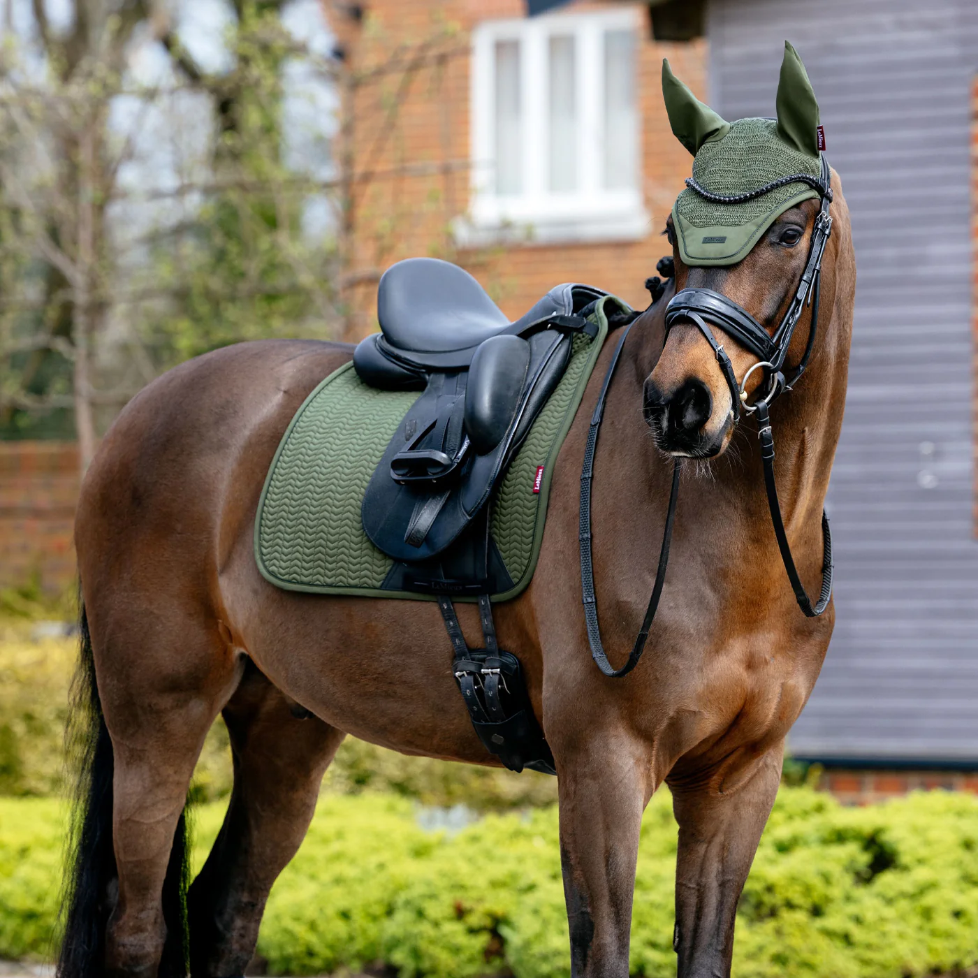 LeMieux Essence Dressage Saddle Pad - Image 6