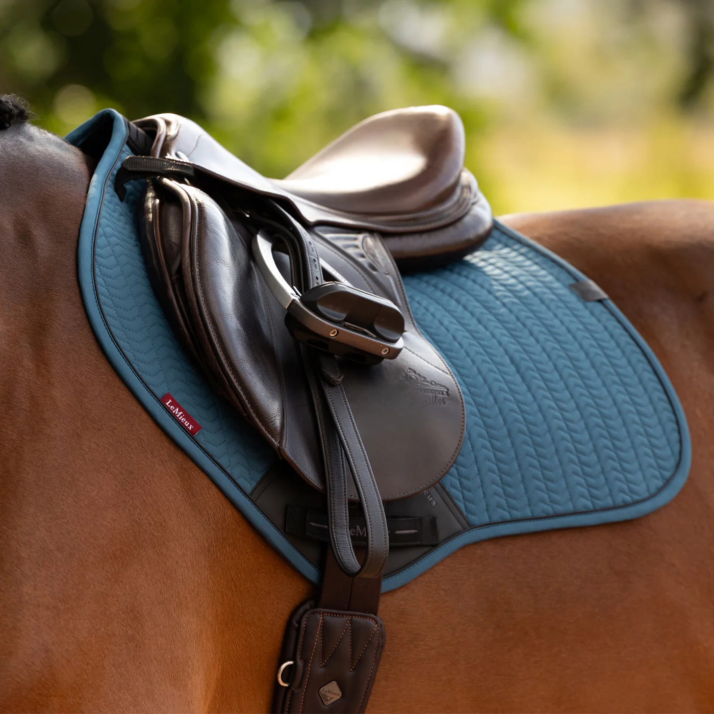 LeMieux Essence Eurojump Saddle Pad - Image 6