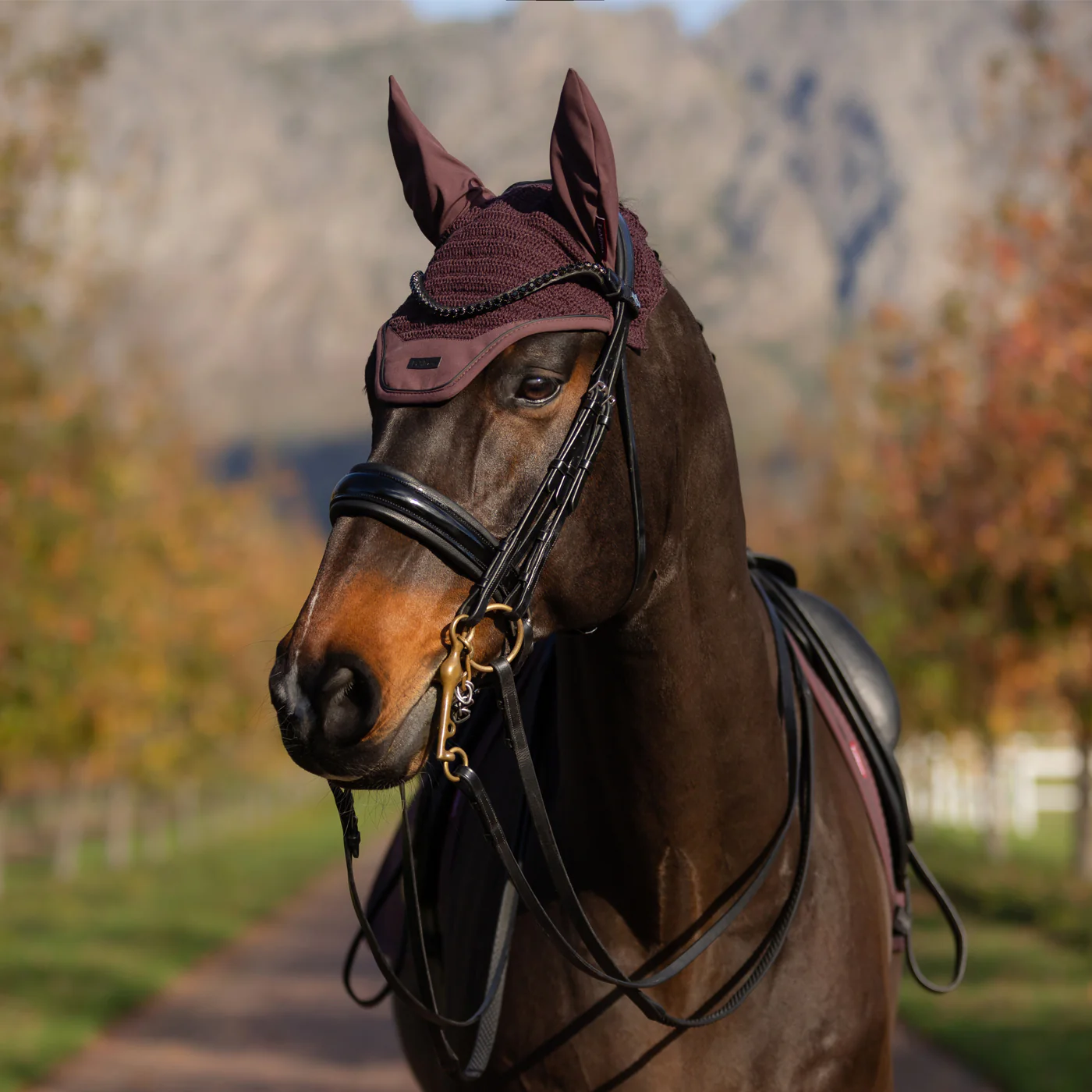LeMieux Essence Fly Veil - Image 4