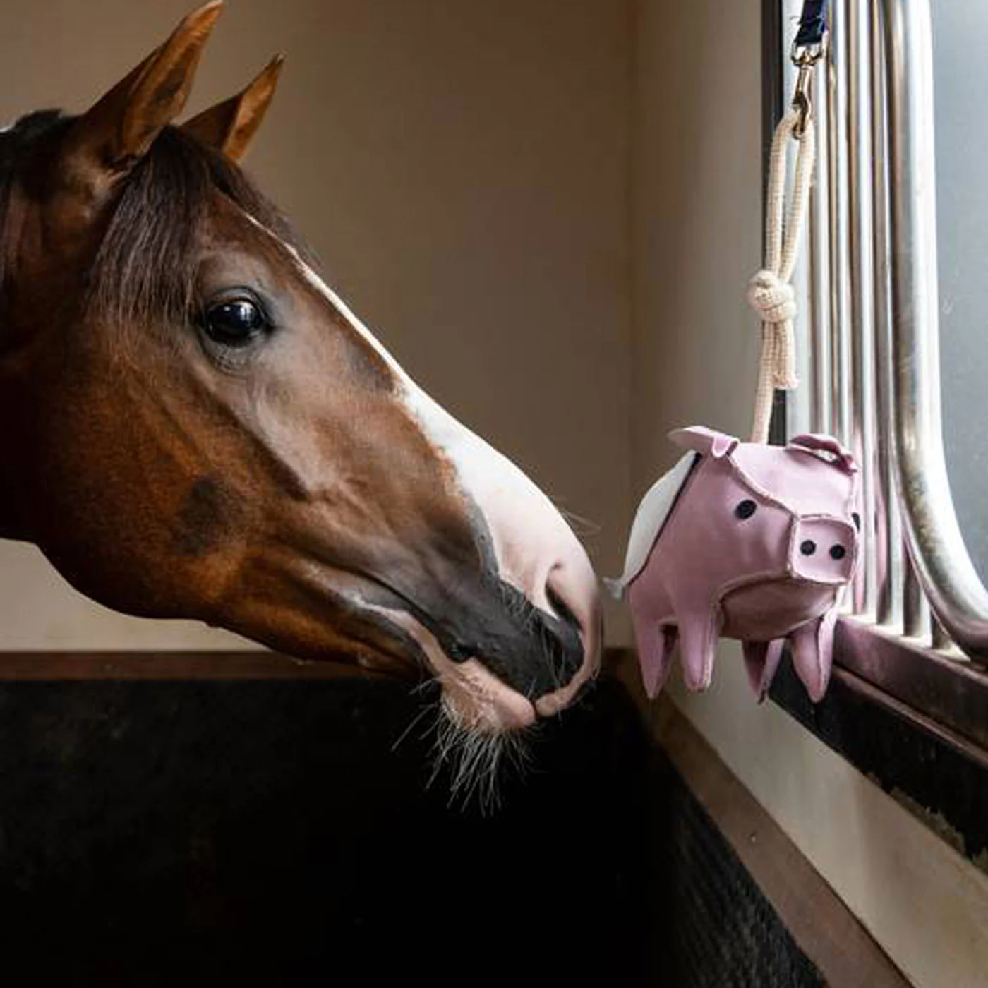 LeMieux Flying Pig Horse Toy - Image 3