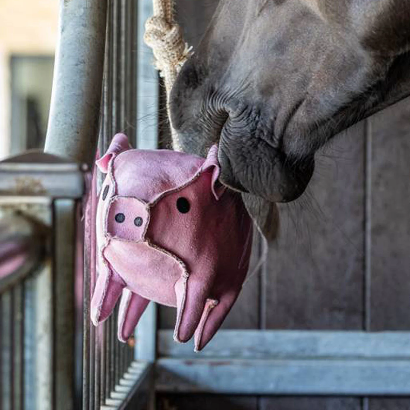 LeMieux Flying Pig Horse Toy - Image 4