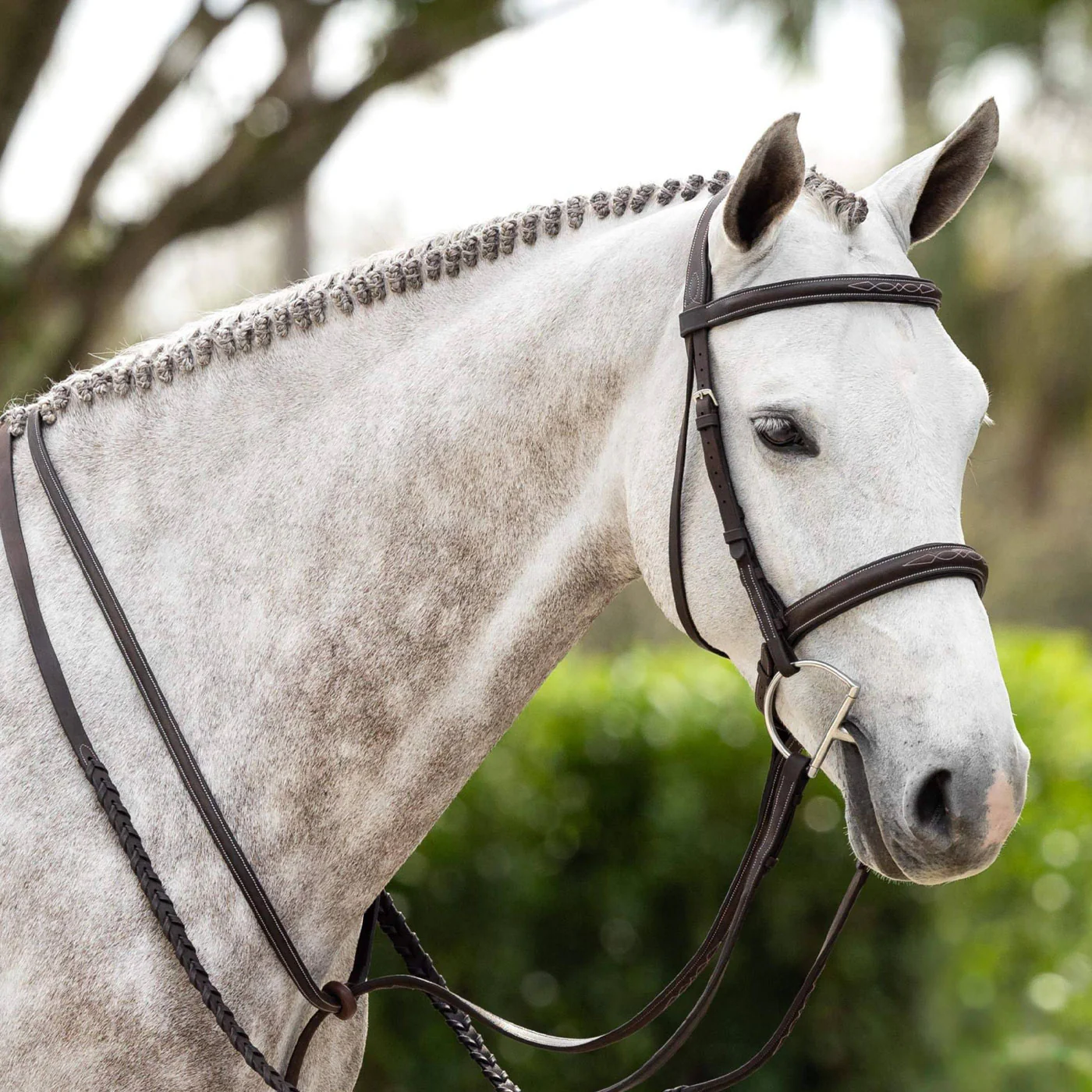 LeMieux Hunter Bridle W/ Reins - Image 3