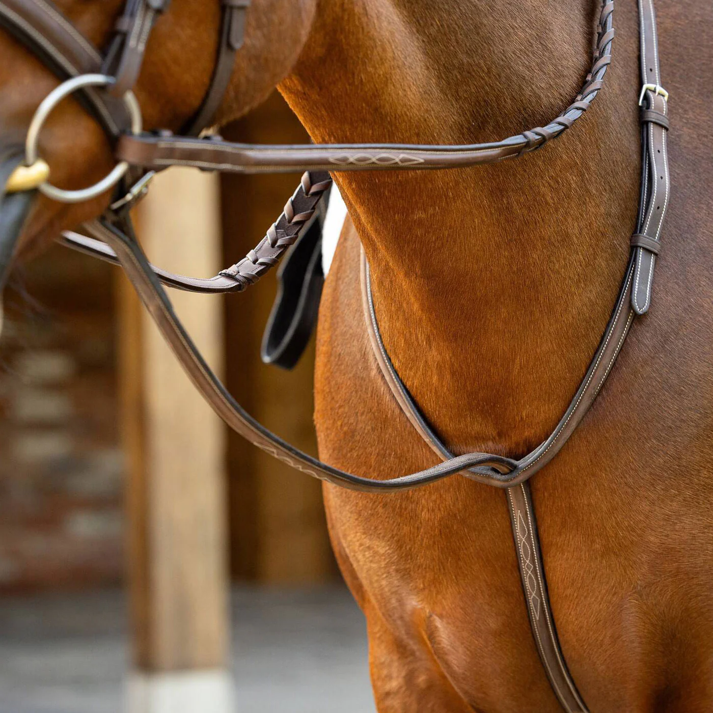 LeMieux Hunter Standing Martingale - Image 4