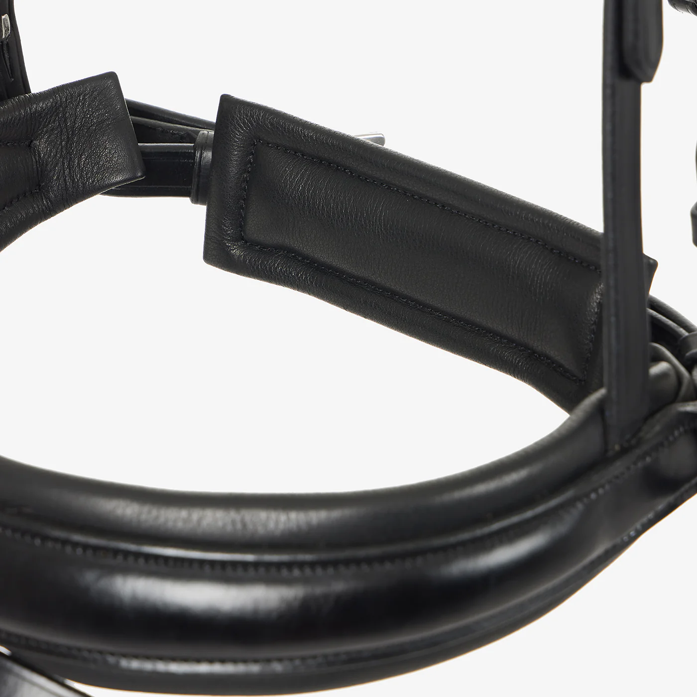 LeMieux Kudos Classic Dressage Bridle - Image 3