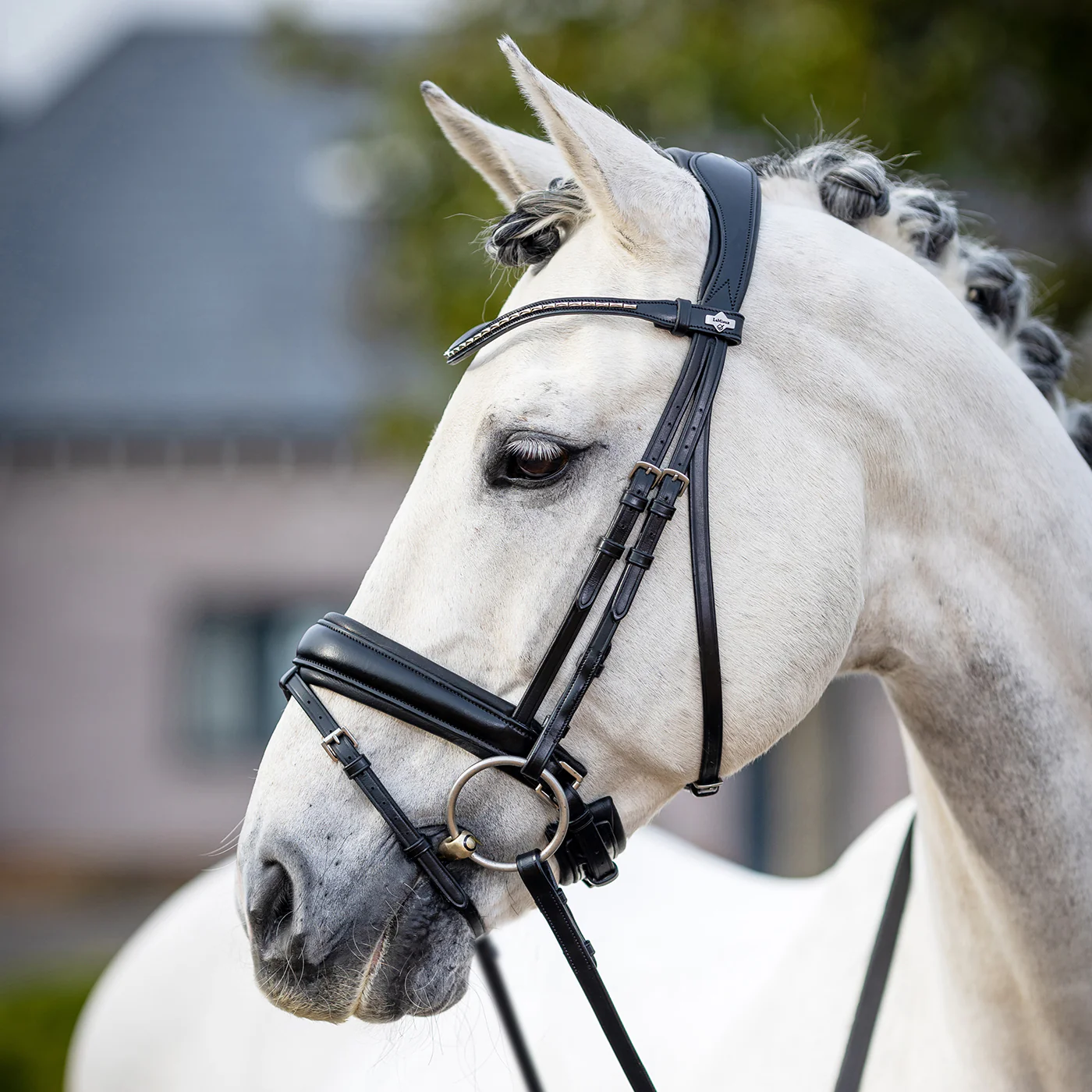 LeMieux Kudos Classic Dressage Bridle - Image 6