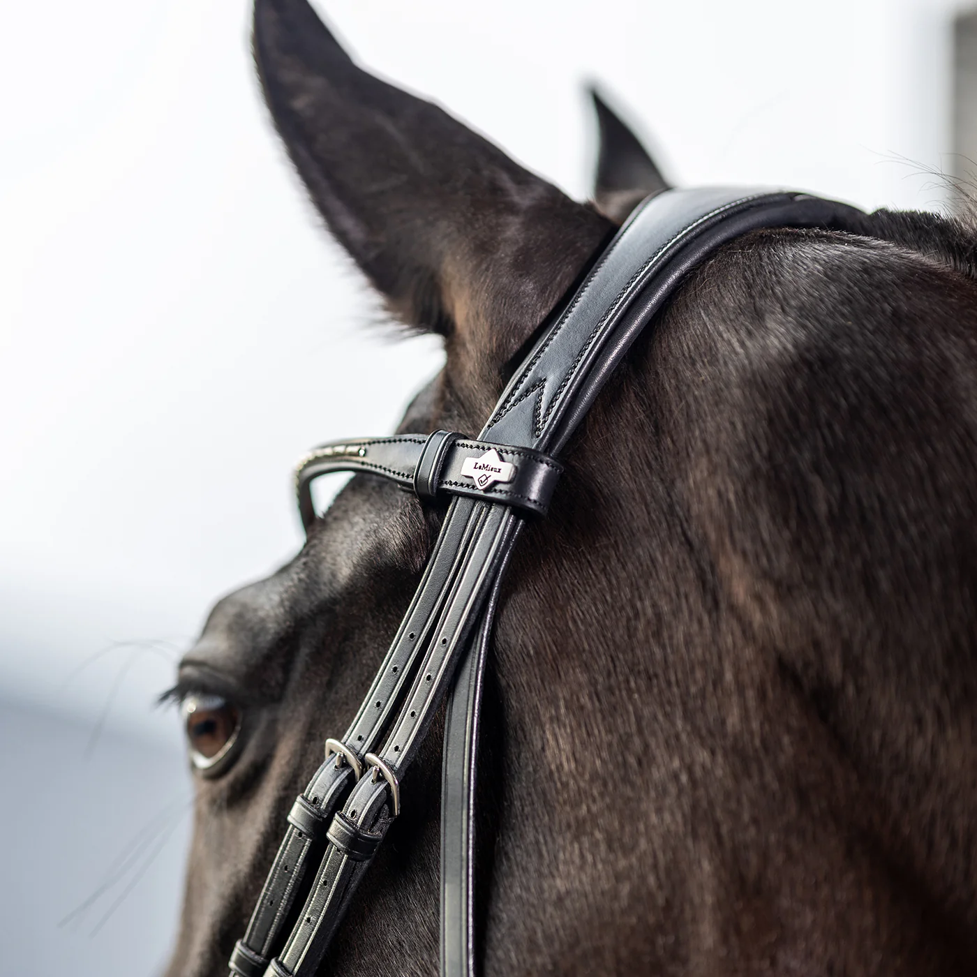 LeMieux Kudos Classic Dressage Bridle - Image 8