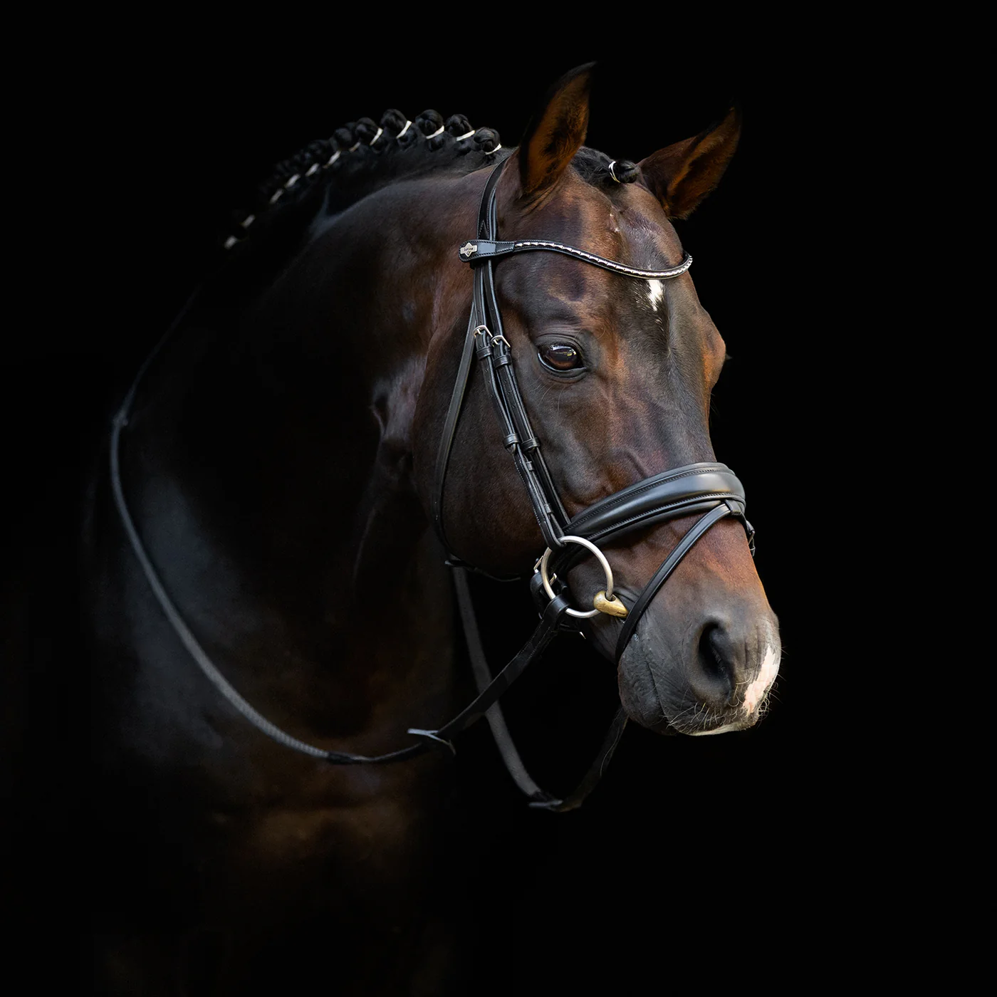 LeMieux Kudos Classic Dressage Bridle - Image 9