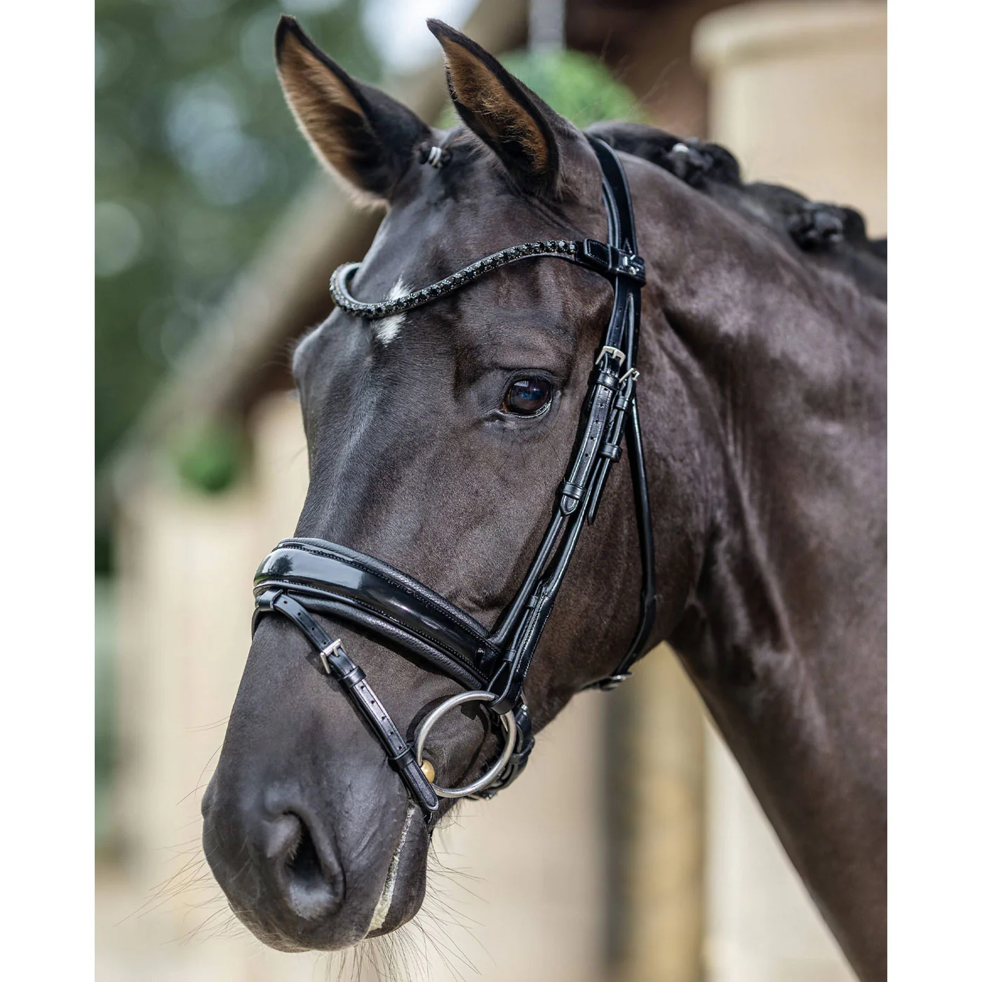 LeMieux Kudos Patent Dressage Bridle - Image 4