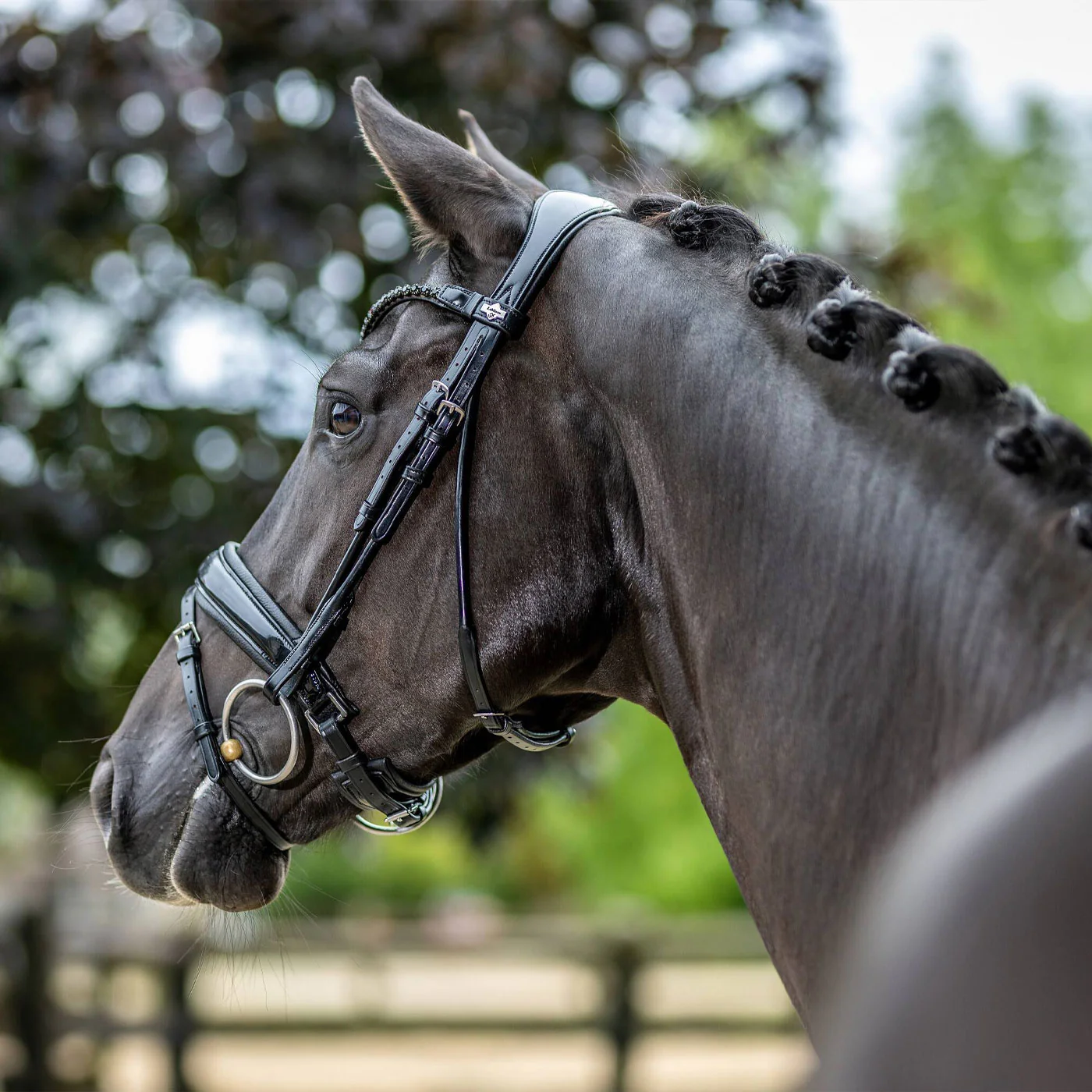 LeMieux Kudos Patent Dressage Bridle - Image 5