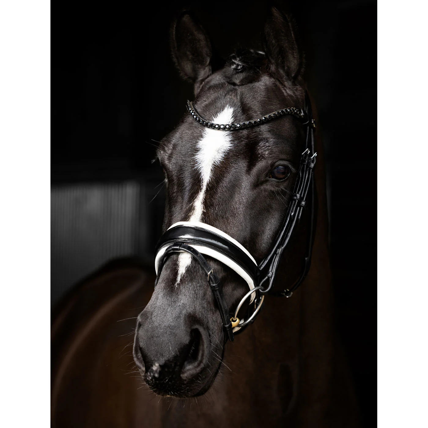 LeMieux Kudos Patent Dressage Bridle - Image 6