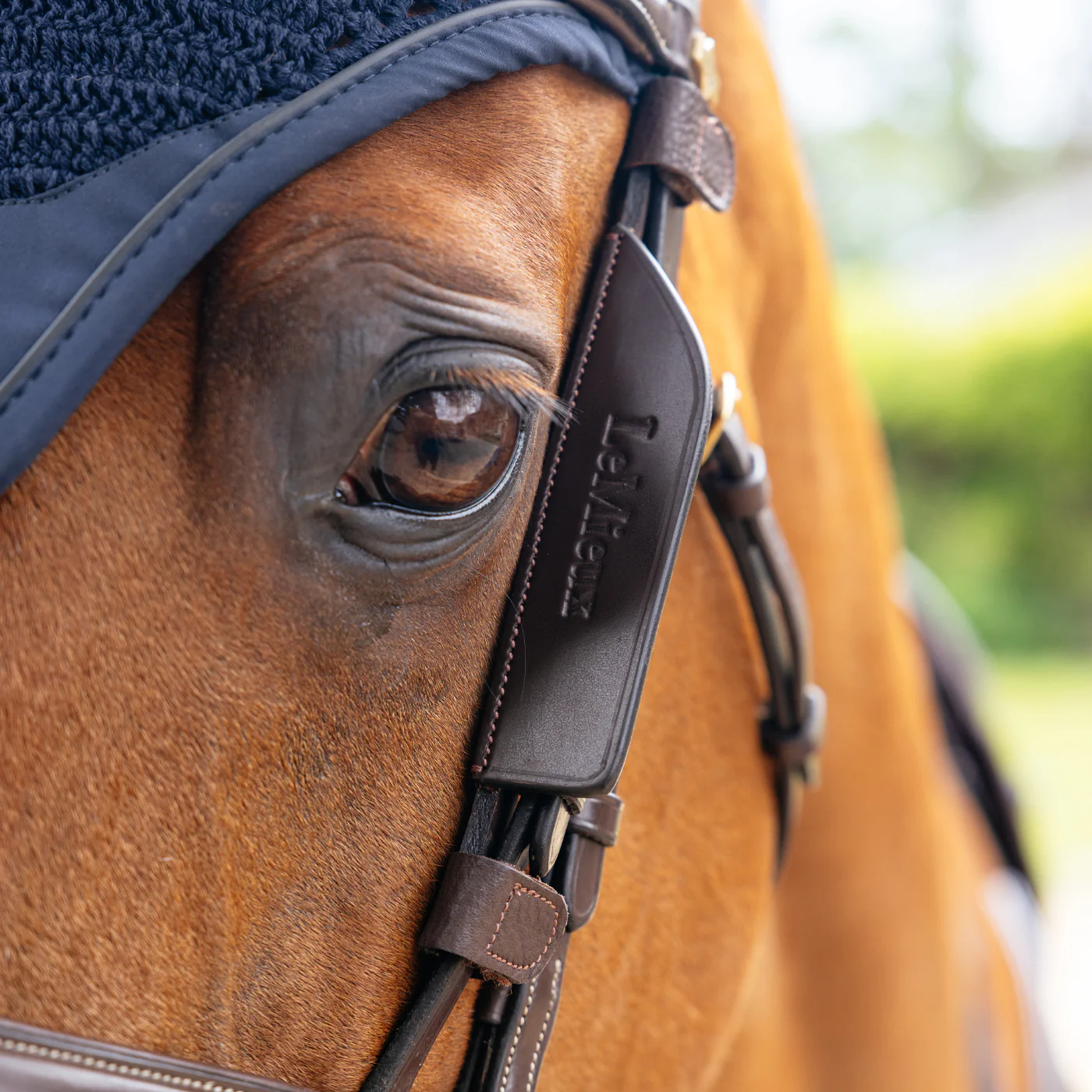 LeMieux Leather Bridle Blinkers - Image 6