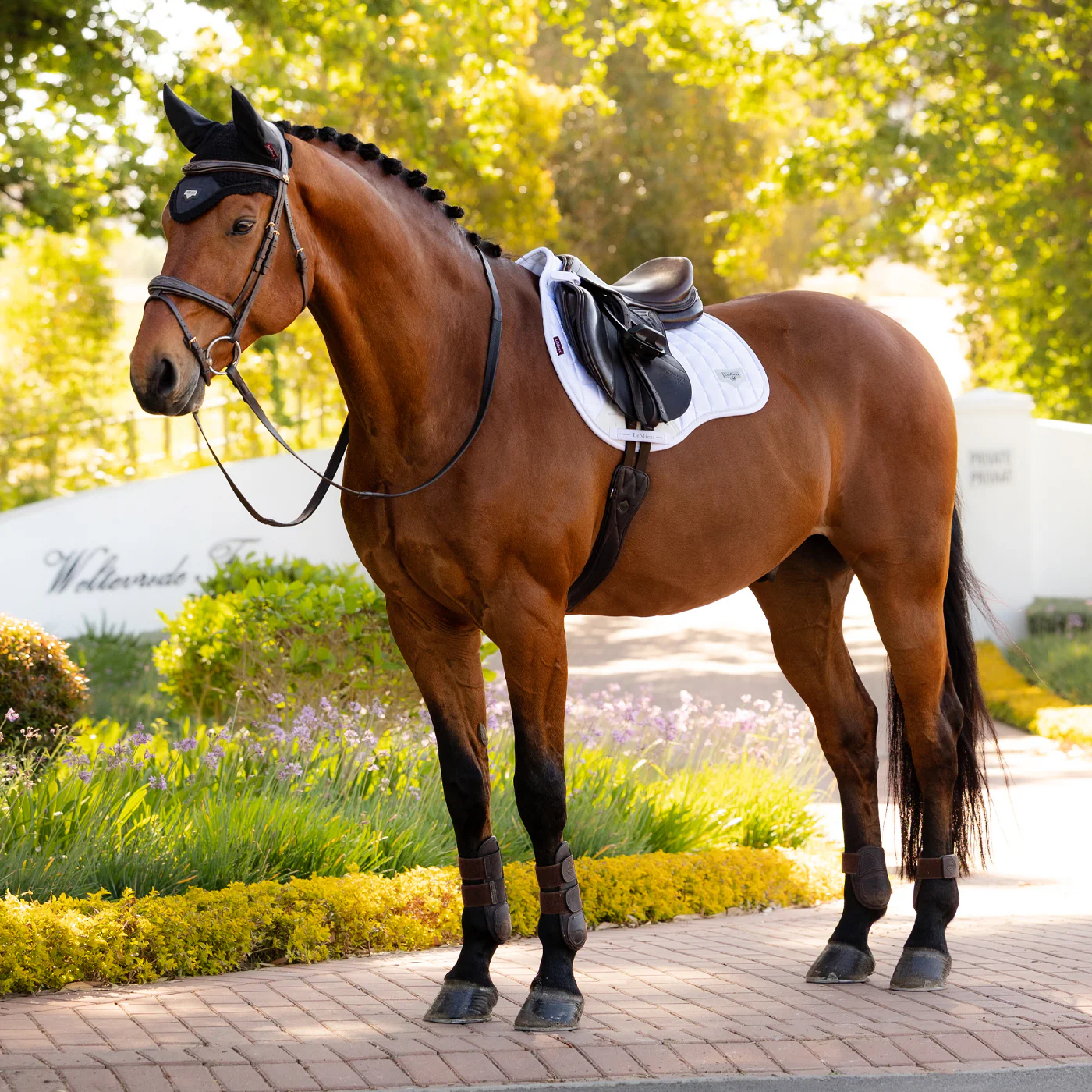 LeMieux Loire Dressage Saddle Pad - Image 2