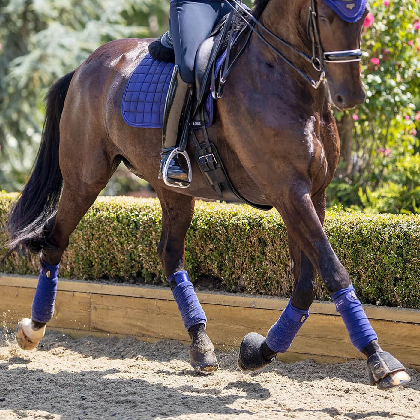 LeMieux Loire Polo Wraps - Image 11