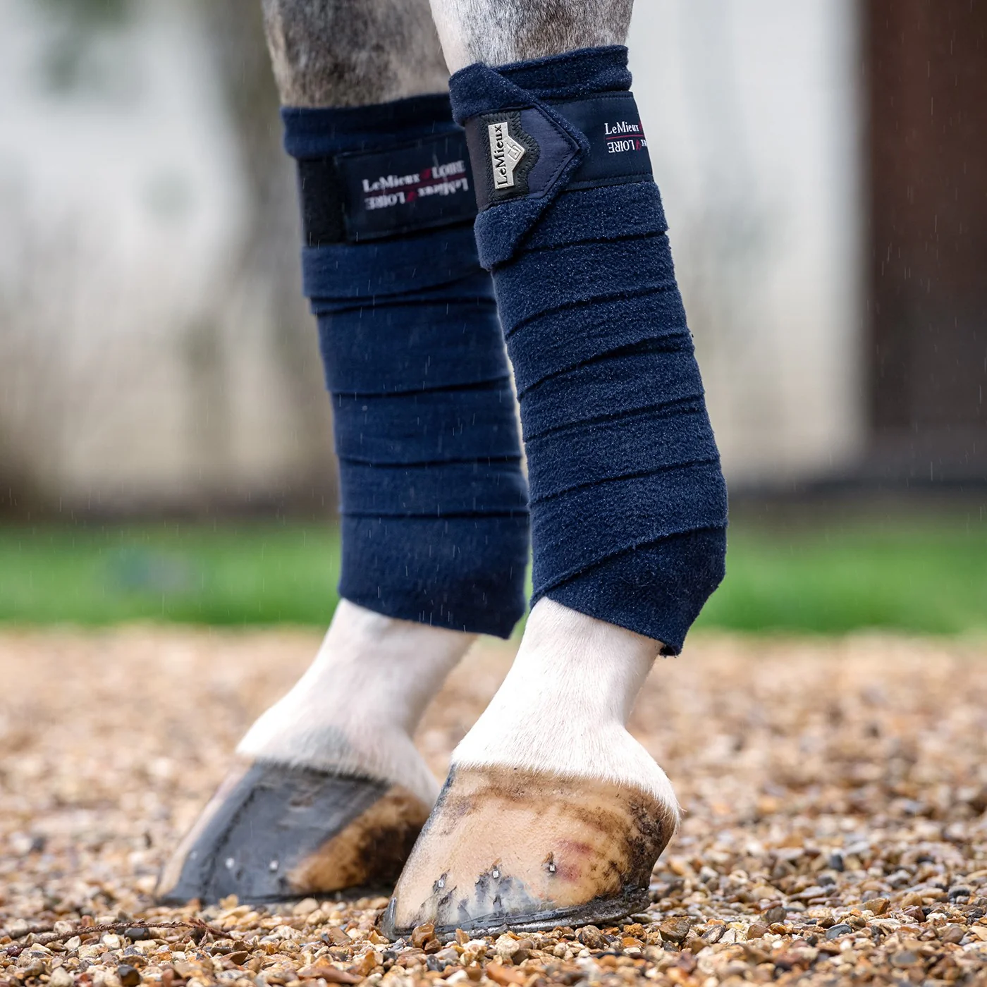 LeMieux Loire Polo Wraps - Image 13